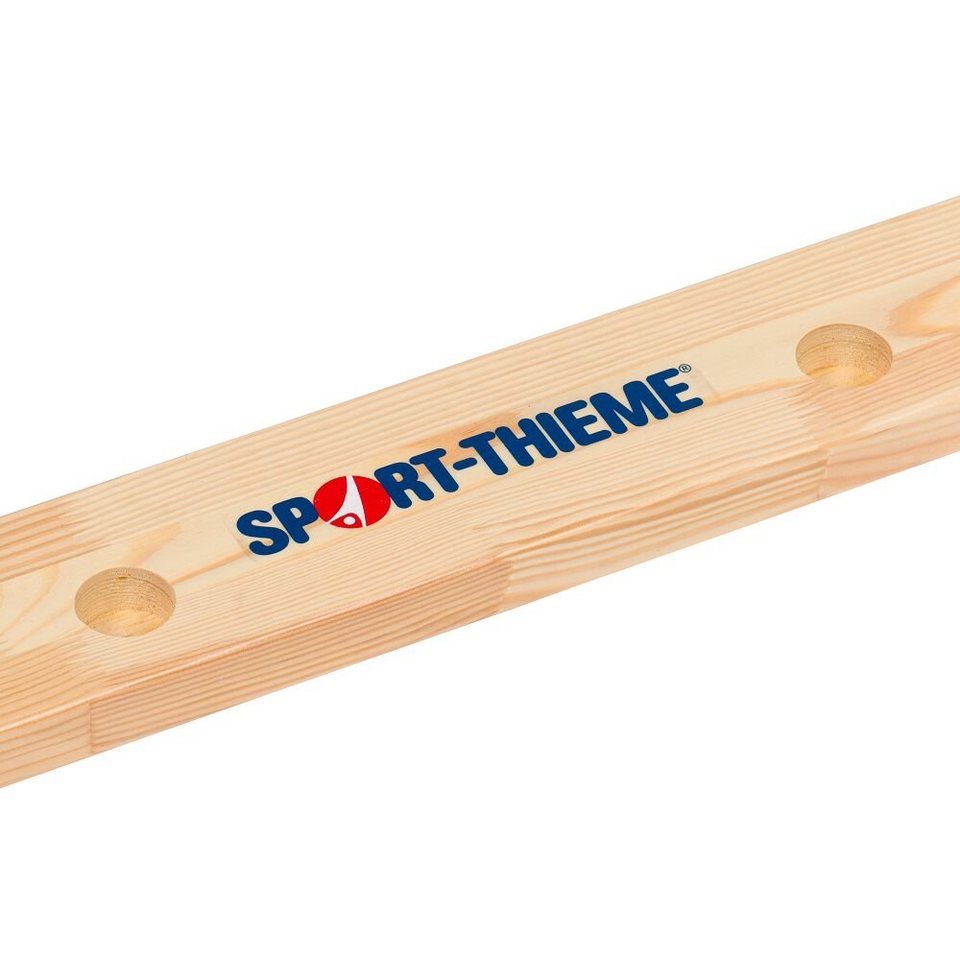 Sport-Thieme Sprossenwand Sprossenwand für einsetzbar in Kindergärten, Ideal Kinder, Grundschulen Original,