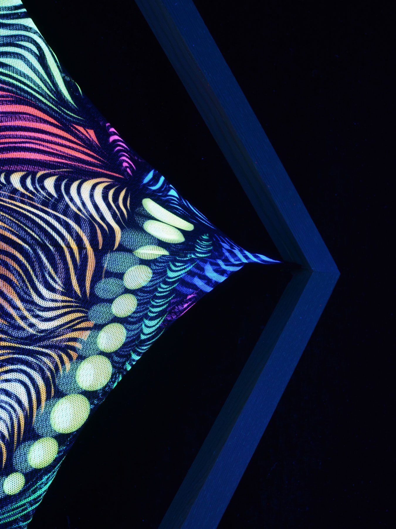 PSYWORK Wanddekoobjekt Schwarzlicht Mesh Segel 60x86cm, UV-aktiv, "Framed Drache Field Magnetic Neon" leuchtet Schwarzlicht unter