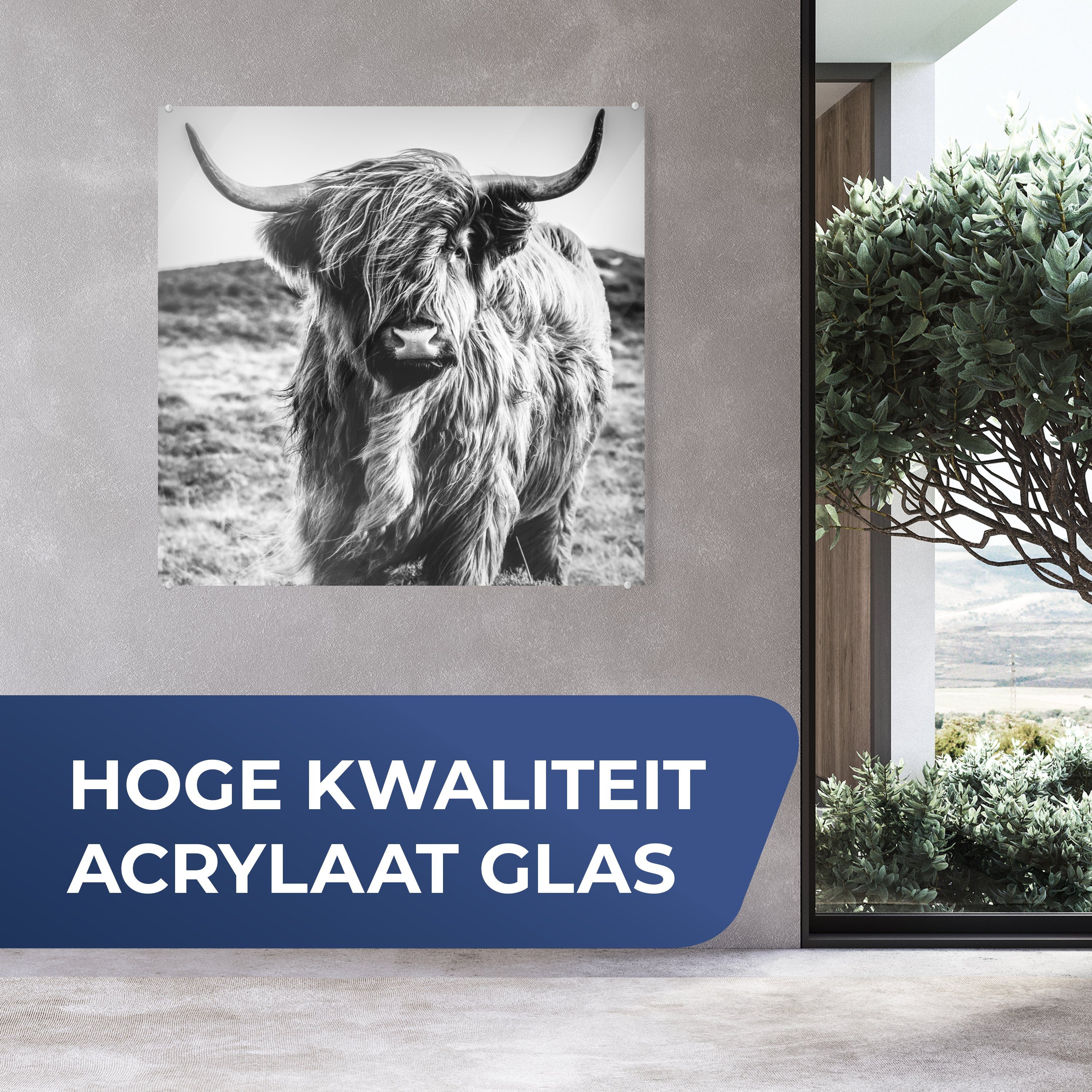 MuchoWow Acrylglasbild Schottischer Highlander - Natur günstig online kaufen