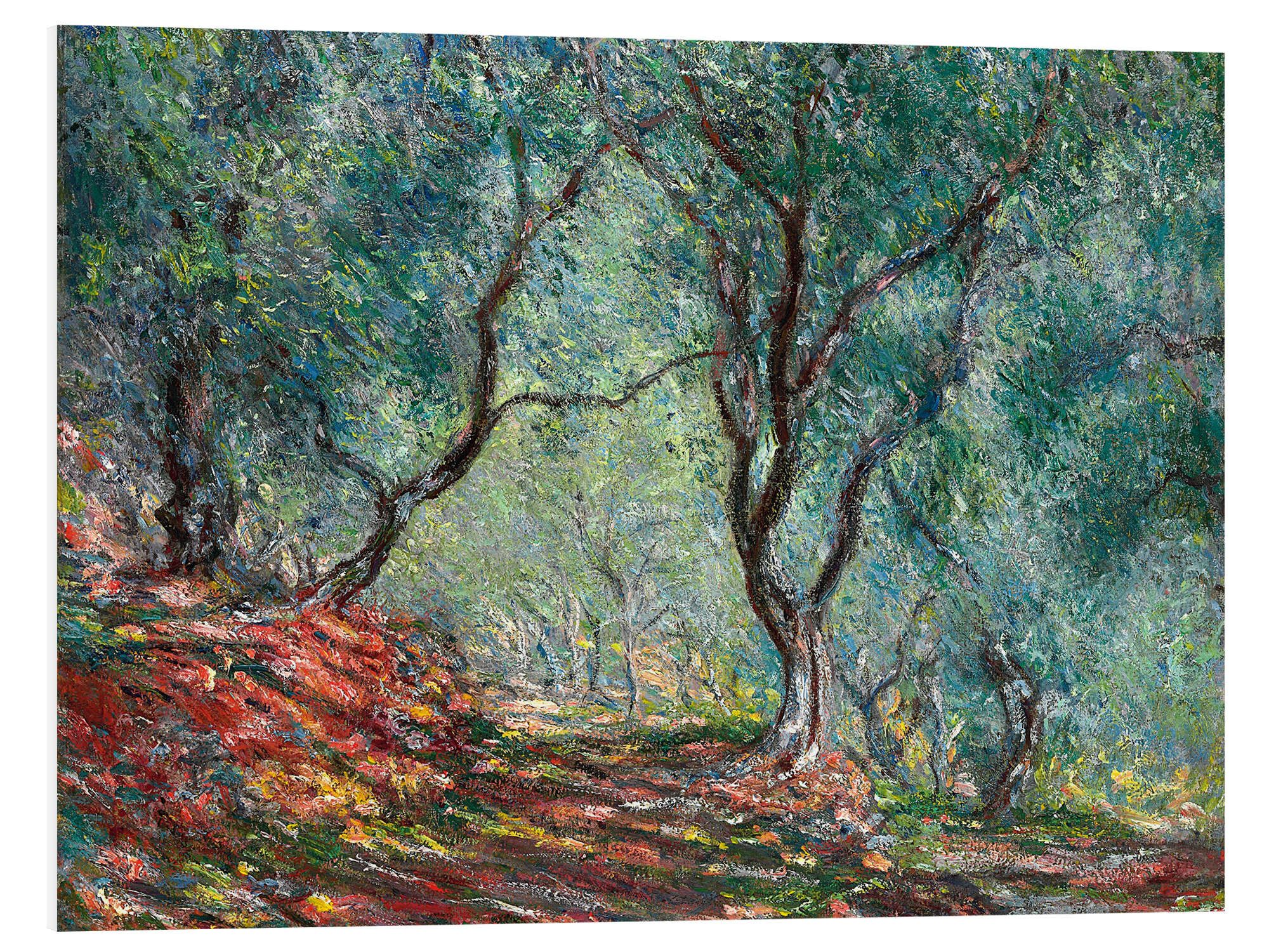Posterlounge Wandbild Olivenbäume im Moreno-Garten, Claude Monet, erhältlich als Poster, Leinwandbild, Wandsticker oder Acrylglasbild