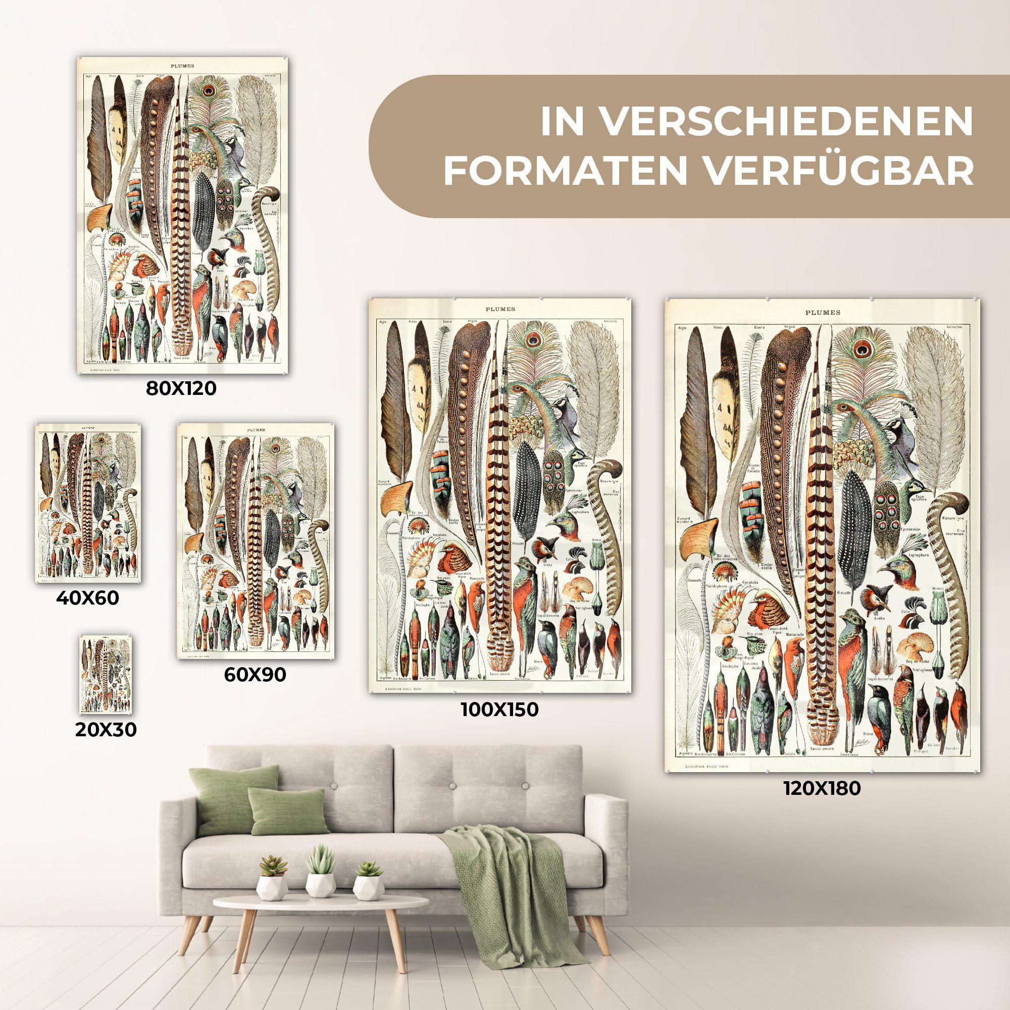 auf - - Glas auf (1 Federn MuchoWow Glas Foto Vogel Wandbild Acrylglasbild Tiere, - Glasbilder - - Wanddekoration Bilder St),