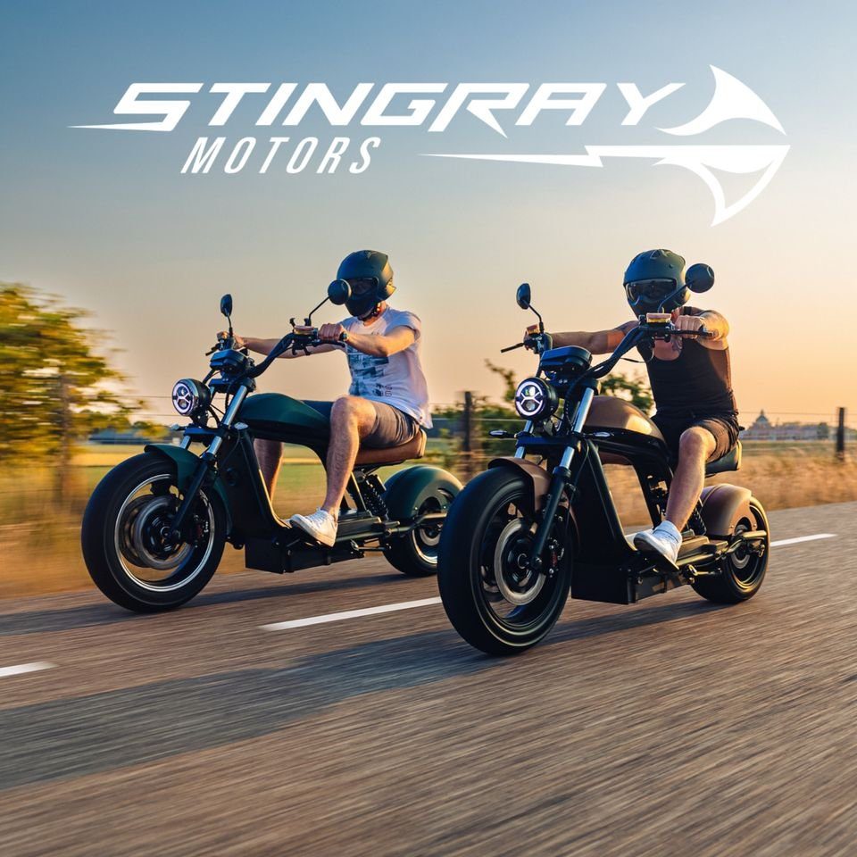 Stingray Motors E-Motorroller Elektroroller 6.0 HL Akku W, Cruiser / / 3800,00 Alarmanlage E-Chopper 57Ah Diebstahlschutz s, - - Stingray km/h, 50
