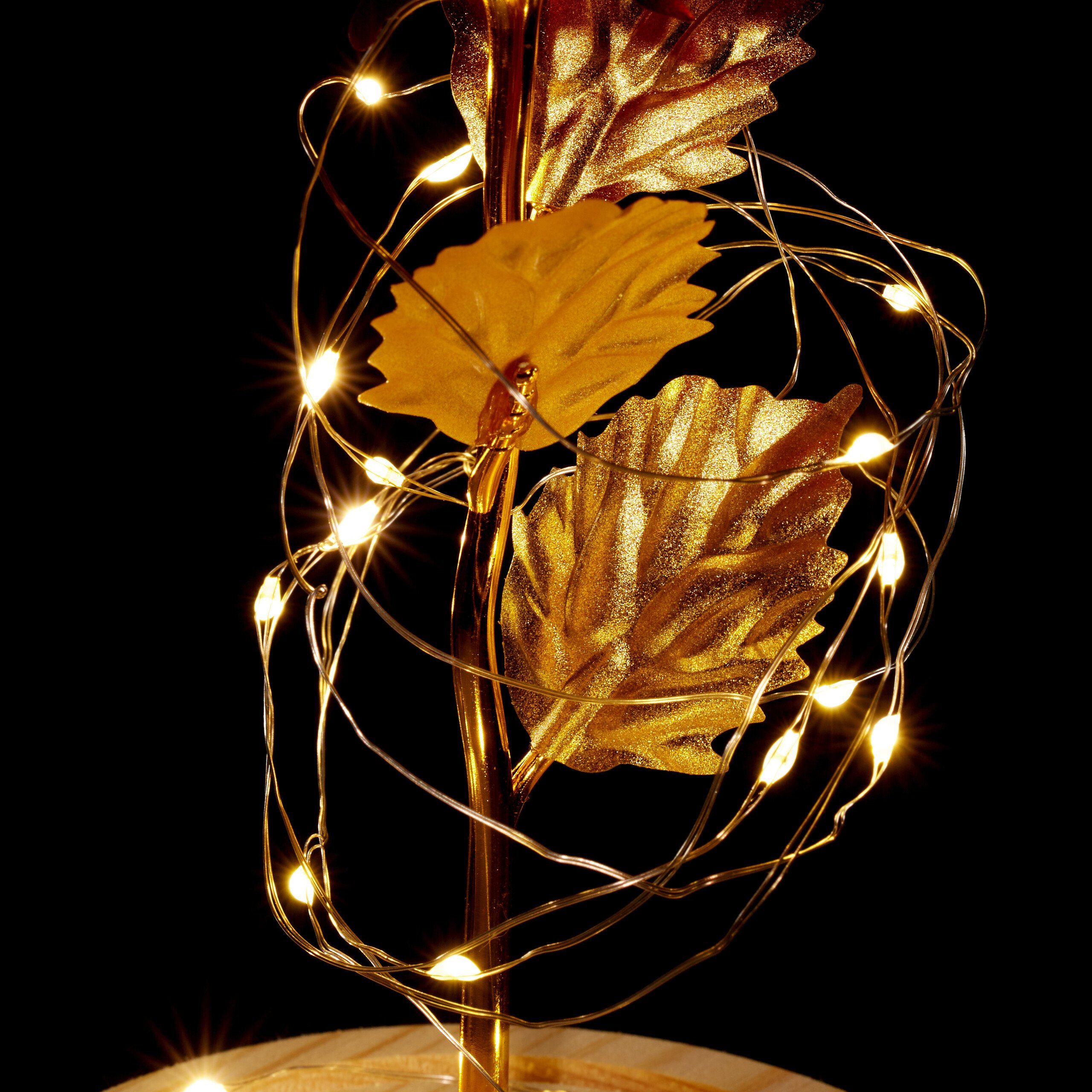 Kunstblume Ewige Rose im Glas, Höhe relaxdays, 22 cm