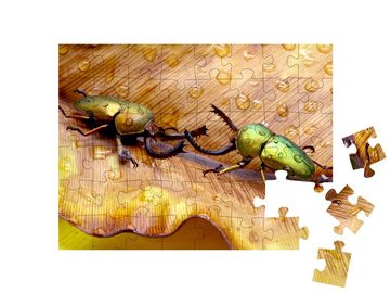 puzzleYOU Puzzle Zwei kämpfende Sägezahnkäfer, Papua-Neuguinea, 48 Puzzleteile, puzzleYOU-Kollektionen Käfer, 48 Teile, Insekten & Kleintiere