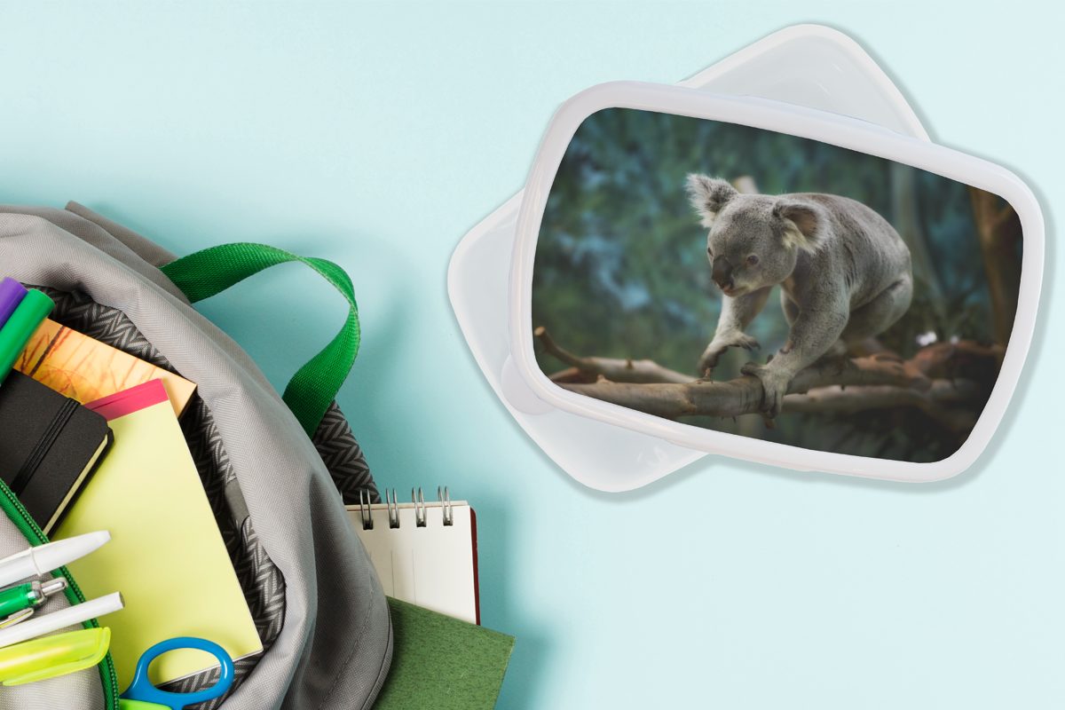 - Mädchen (2-tlg), Jungs Kinder Lunchbox Koala Brotdose, und Kunststoff, Kinder Brotbox - Junge für und - Mädchen, für - Erwachsene, Baum Äste weiß - MuchoWow