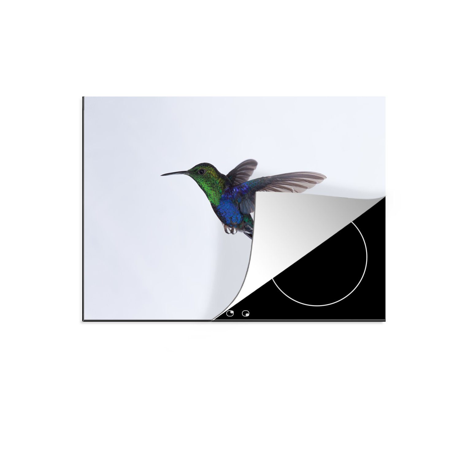 MuchoWow Herdblende-/Abdeckplatte Vögel - Kolibri - Grün - Blau, Vinyl, (1 tlg), 71x52 cm, Induktionskochfeld Schutz für die küche, Ceranfeldabdeckung