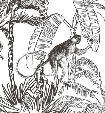 MyMaxxi Dekorationsfolie Türtapete Dschungel Affen Türbild Türaufkleber Folie