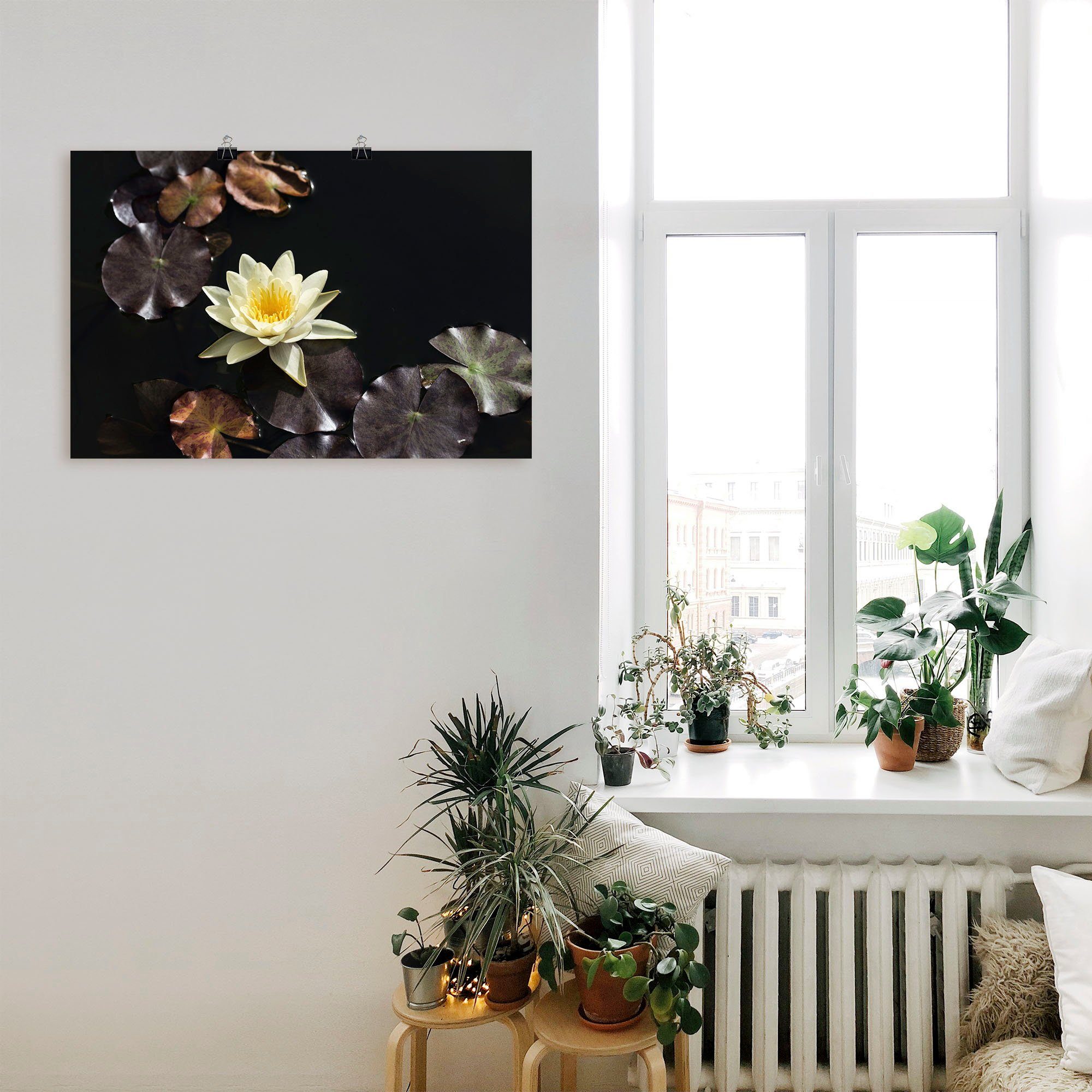 Artland Wandbild »Seerosenbild«, Blumenbilder (1 Stück), in vielen Größen & Produktarten - Alubild / Outdoorbild für den Außenbereich, Leinwandbild, Poster, Wandaufkleber / Wandtattoo auch für Badezimmer geeignet-kaufen