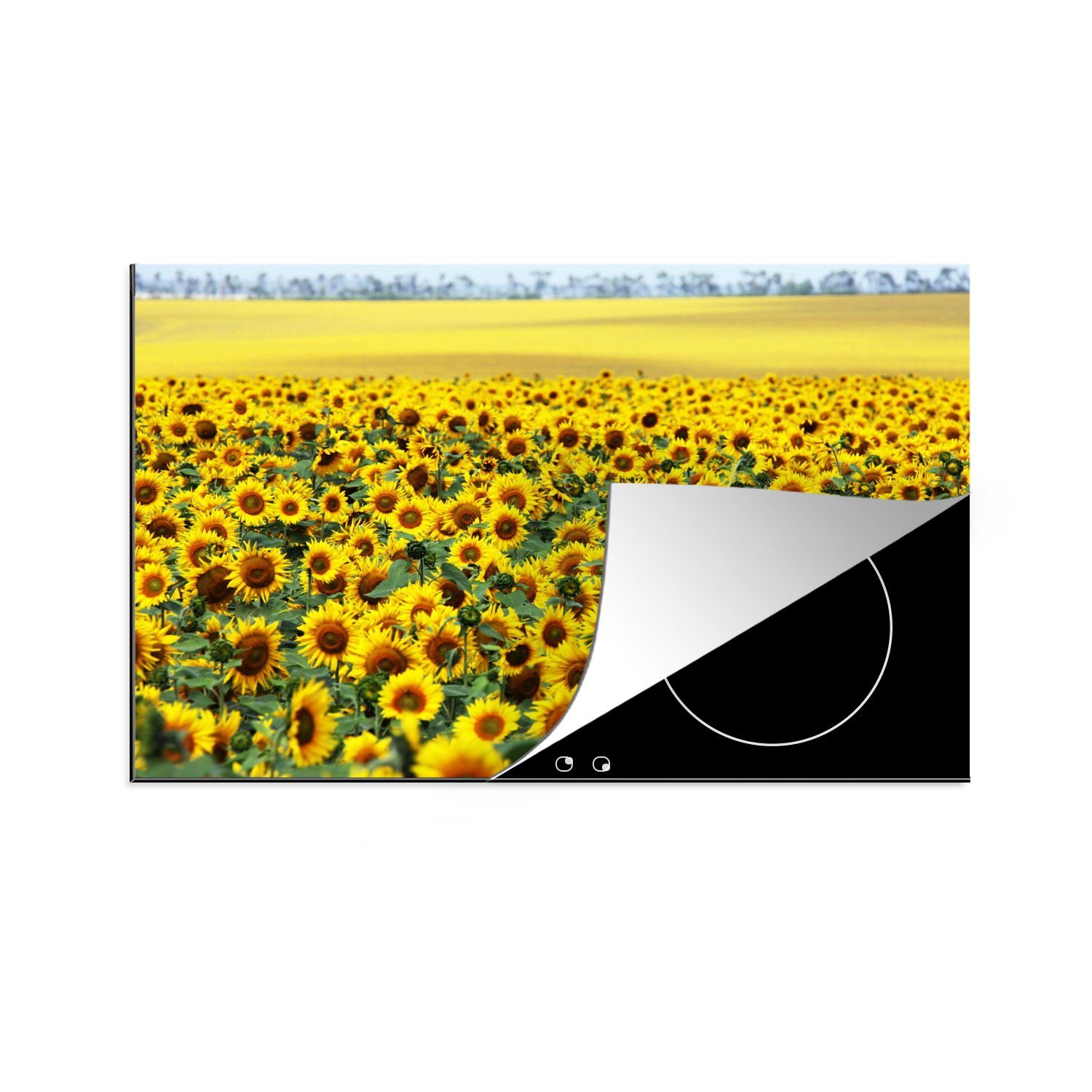 Ceranfeldabdeckung für cm, tlg), die küche, MuchoWow Vinyl, 80x52 Induktionskochfeld Sonnenblume Natur, Herdblende-/Abdeckplatte - Blumen (1 - Schutz