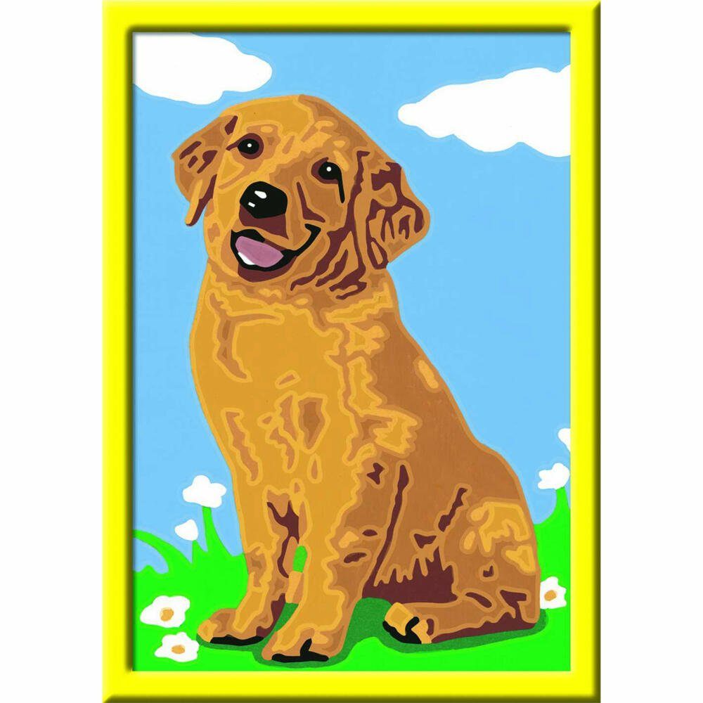Ravensburger Malen nach Zahlen Kleiner Golden Retriever