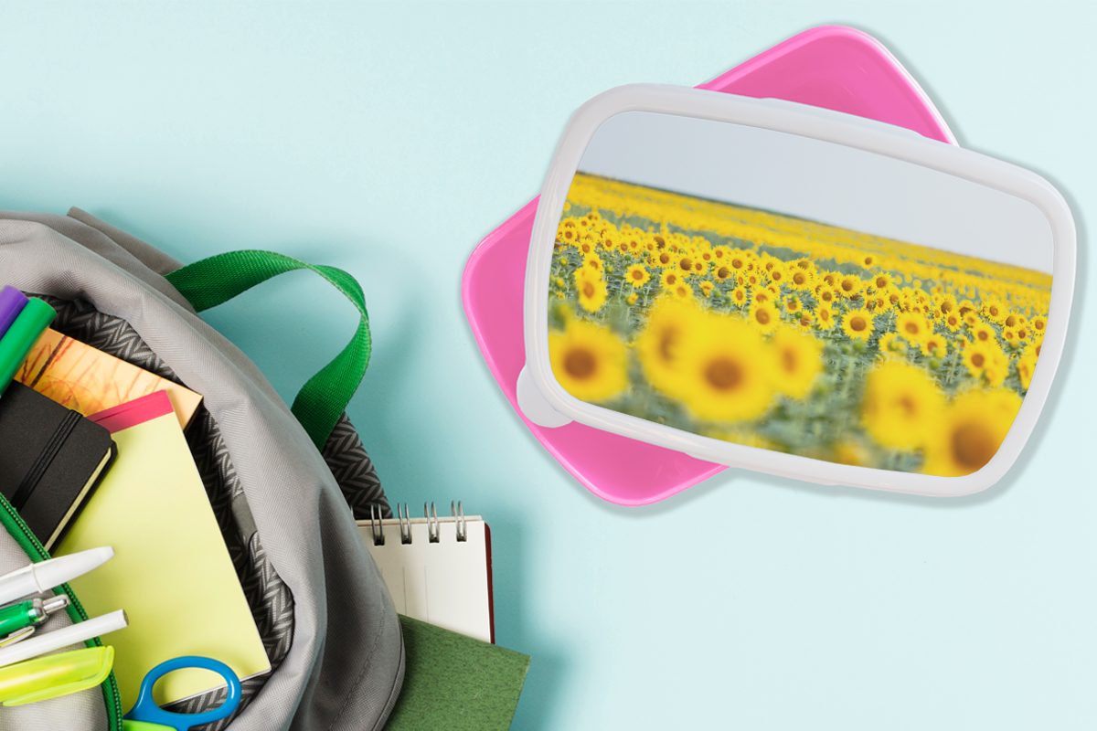 Erwachsene, Mädchen, für Lunchbox voller (2-tlg), Brotbox MuchoWow rosa Sonnenblumen, Kinder, Snackbox, Kunststoff, Kunststoff Feld Brotdose Gelbes