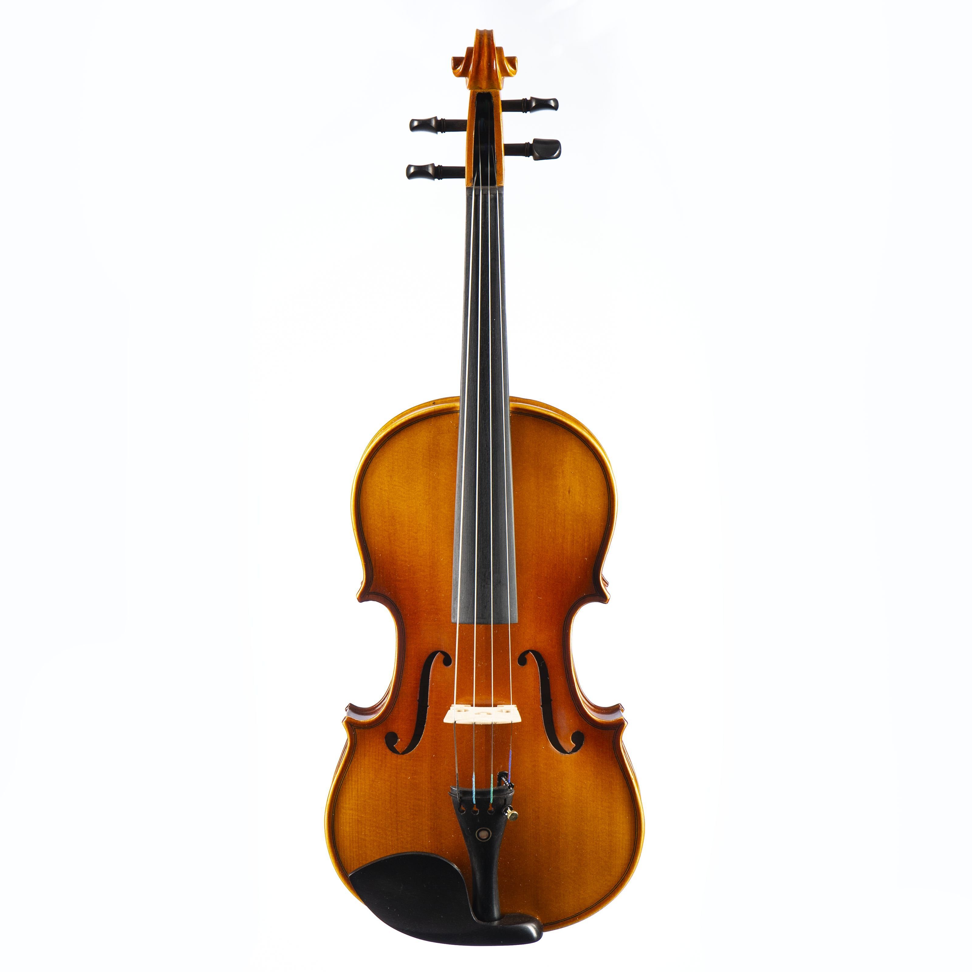 Violine