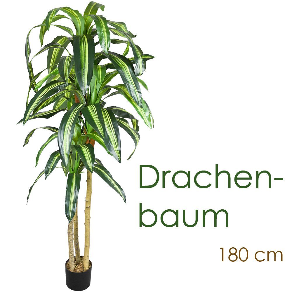 Kunstpflanze Drachenbaum Kunstpflanze Kunstbaum Künstliche Pflanze 180cm Echtholz Decovego, Decovego