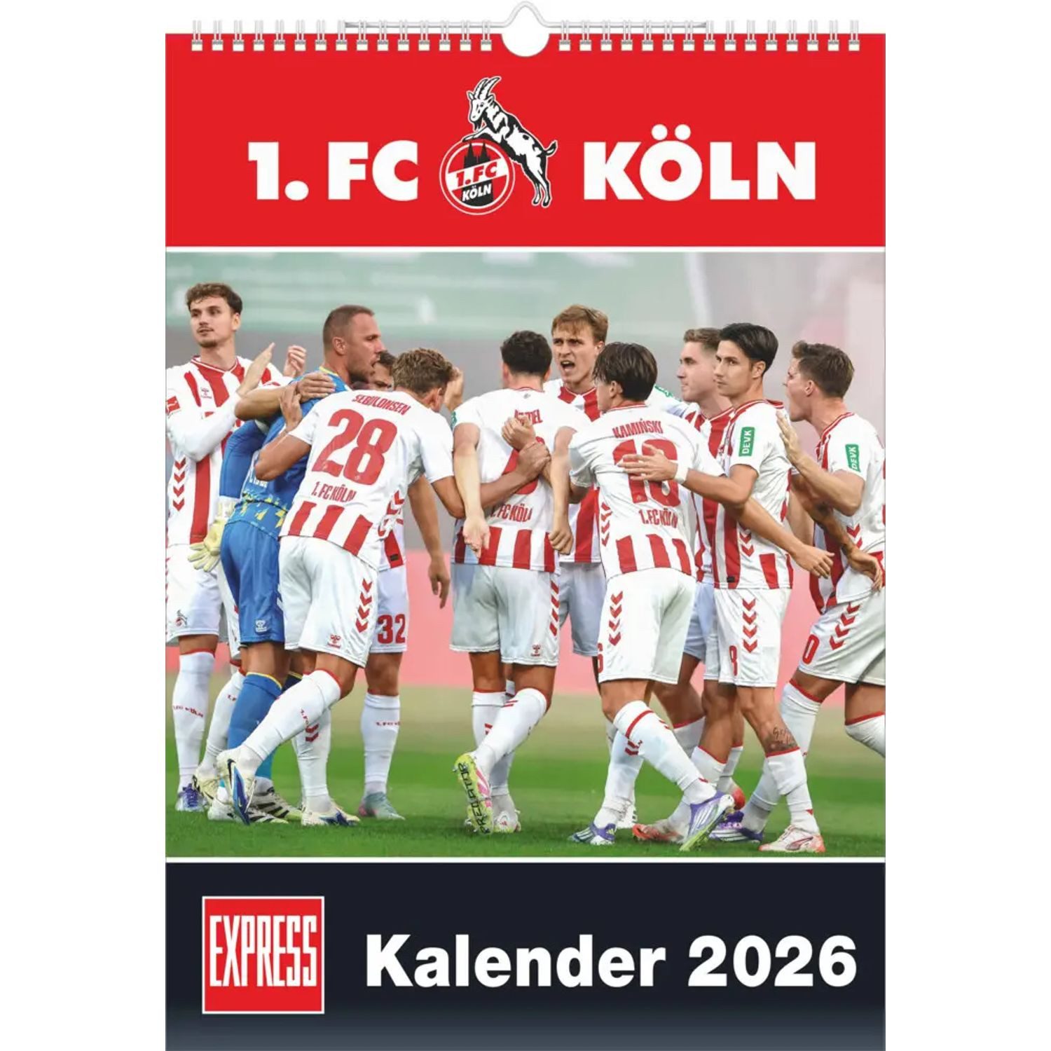 DUMONT Wandkalender DUMONT - 1. FC Köln 2026 - Fußball-Kalender - 30 x 42 cm -...