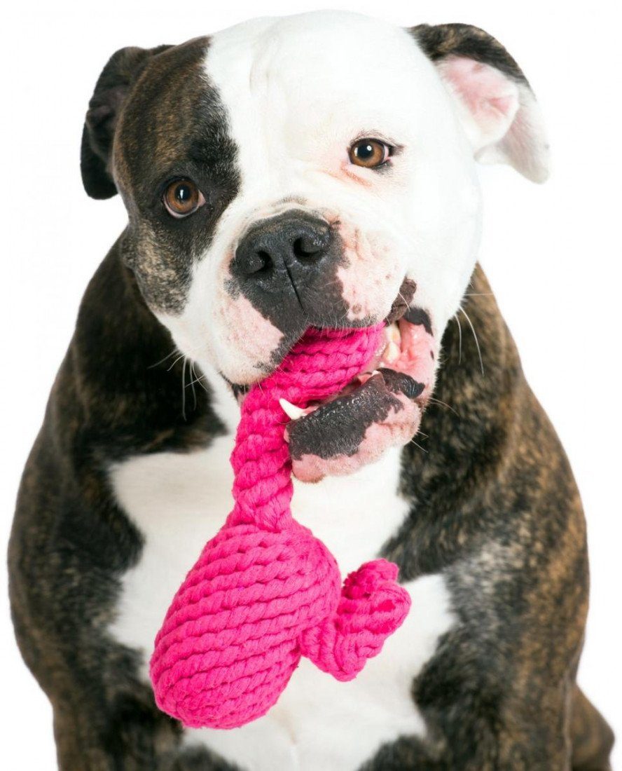 PassionMade Kauspielzeug »Hundespielzeug, Hundespielzeuge, Zerrspielzeug  Hund aus natürliches Baumwolle, welpenspielzeug, Welpen, Kuscheltier Hund«