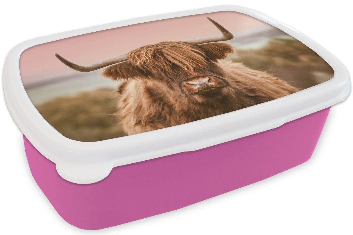 MuchoWow Lunchbox Kuh - Kunststoff, Tier, Snackbox, rosa Mädchen, Kunststoff Highlander für Erwachsene, Schottischer (2-tlg), Brotdose Brotbox - Kinder