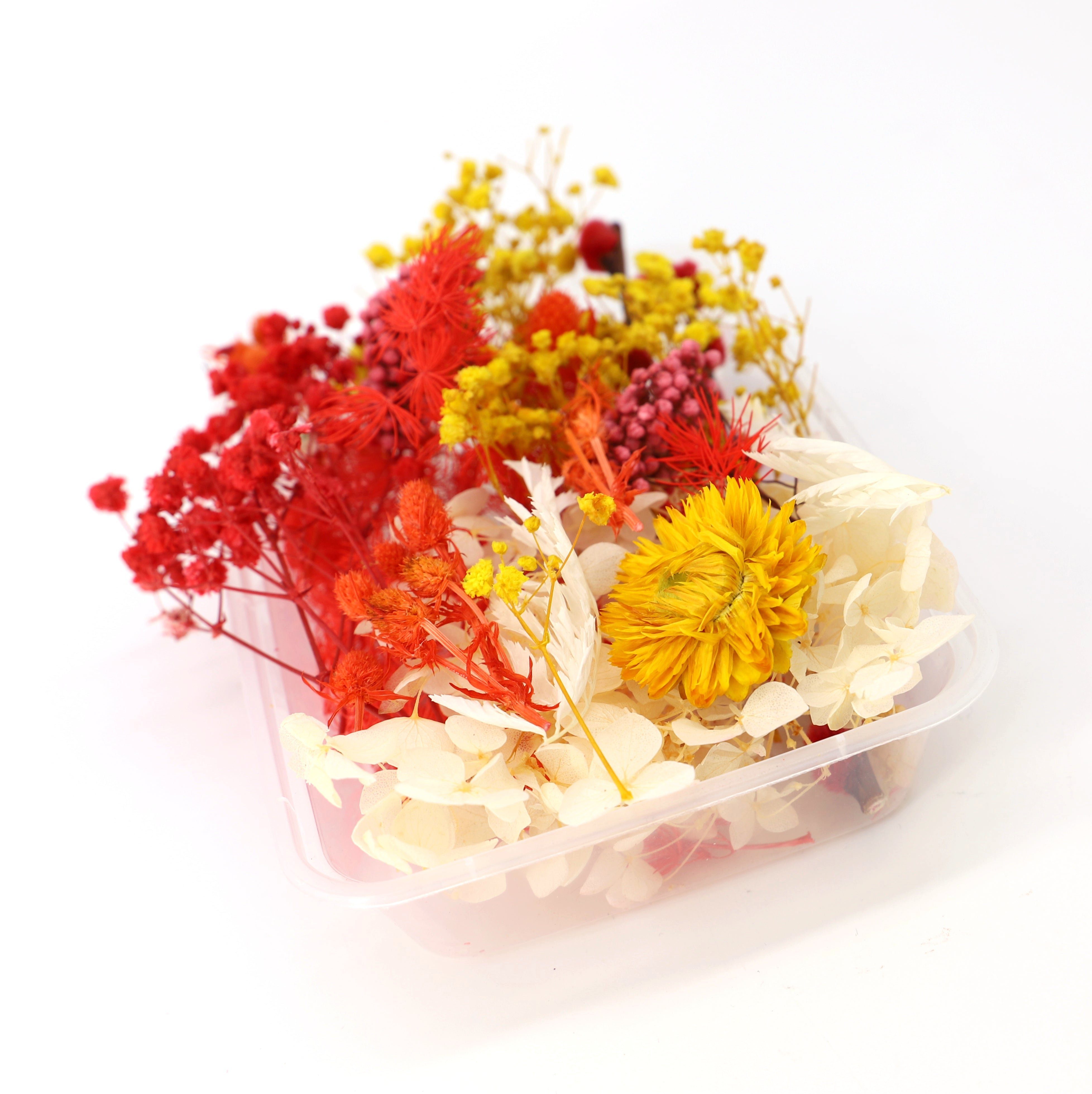 Trockenblume Farblich sortierte getrockneten Blumen Lila, mit Kunstharz.Art - Box
