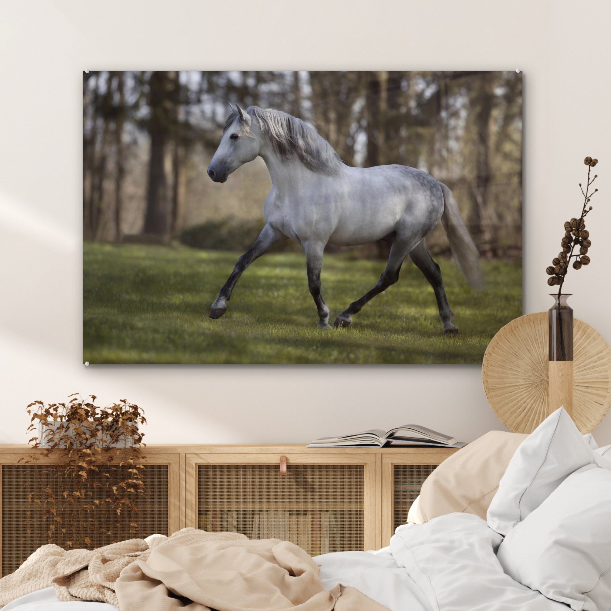 (1 Pilz Wohnzimmer Schlafzimmer MuchoWow St), - & Acrylglasbild Acrylglasbilder - Pferd Gras,