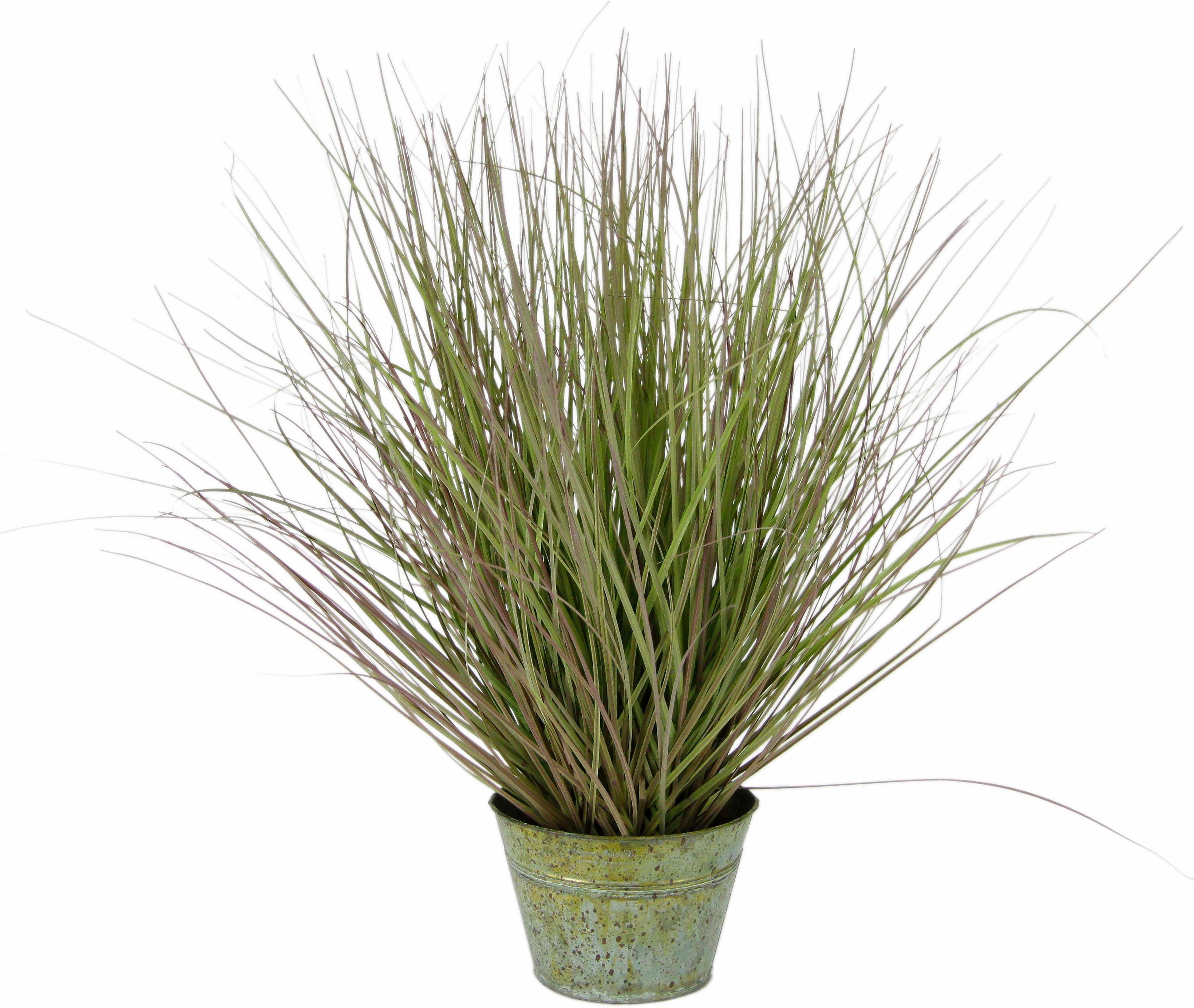 Kunstpflanze Grasbusch Gras, I.GE.A., Höhe 52 cm günstig online kaufen