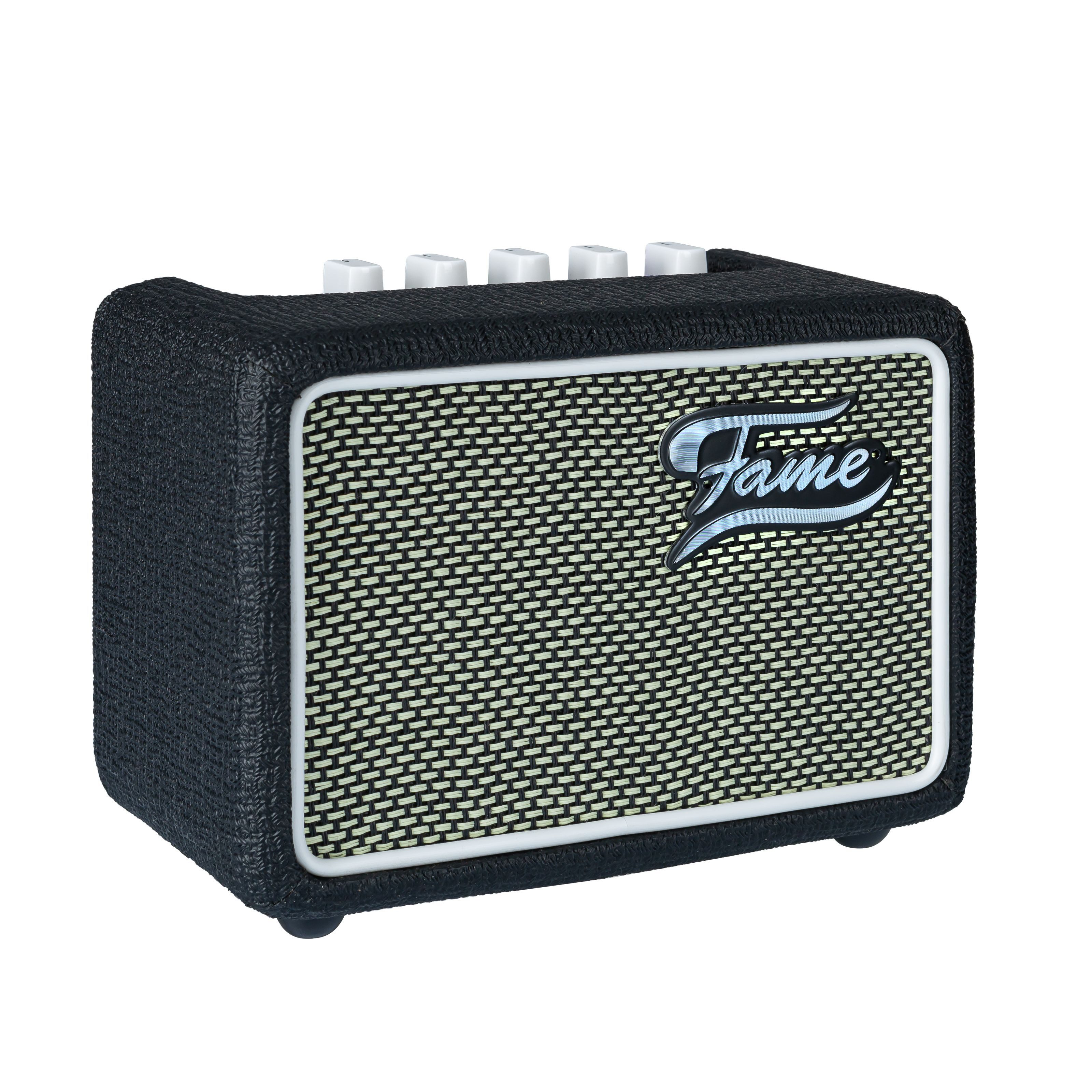 FAME Verstärker (R1 - Transistor Combo Verstärker für E-Gitarre)