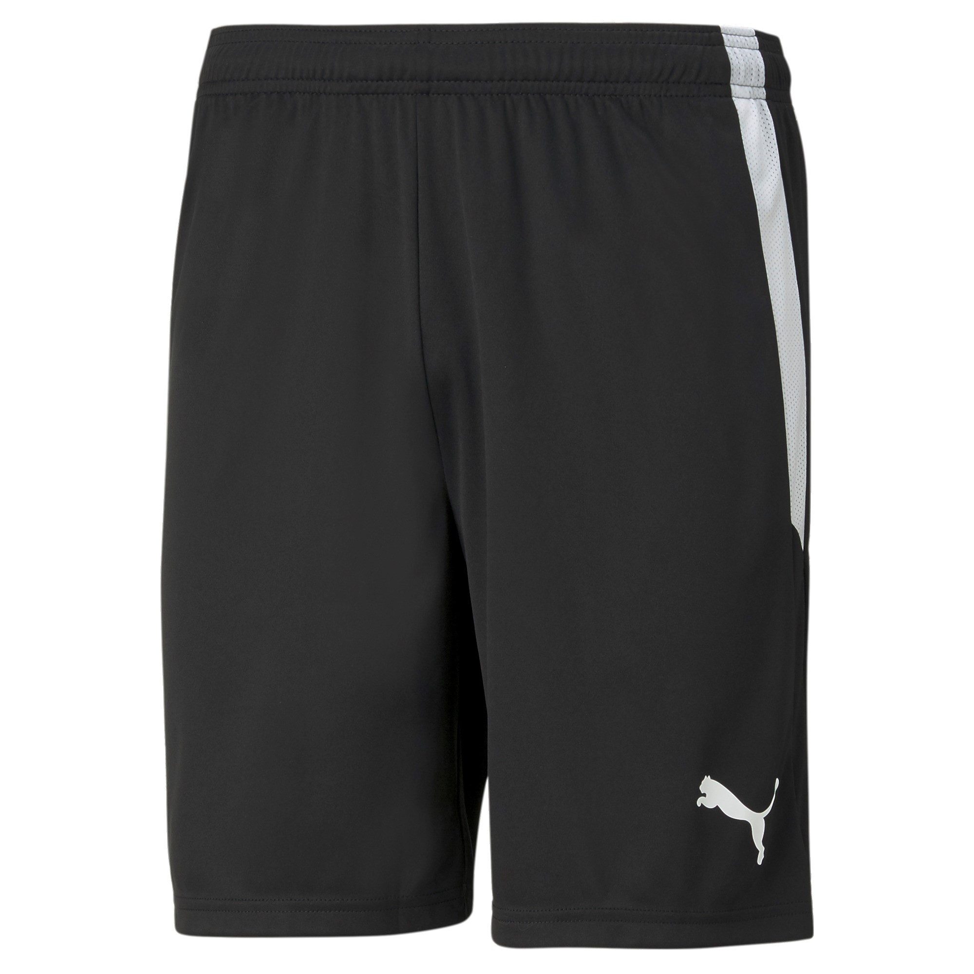 PUMA Trainingsshorts Puma Herren Shorts teamLIGA Shorts 704924 günstig online kaufen