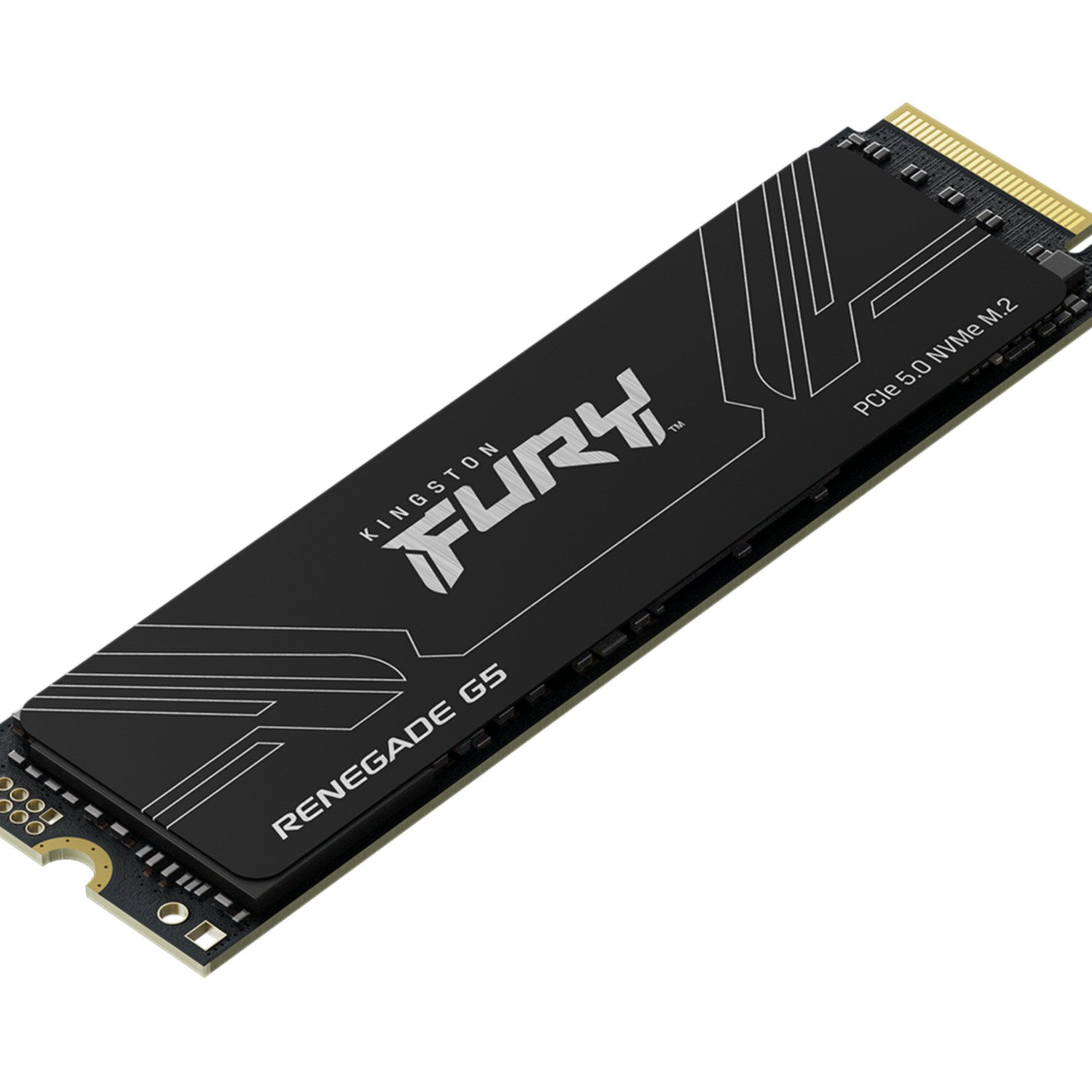 Kingston 1T FURY RENEGADE G5 M.2 2280 NVMe SSD interne SSD