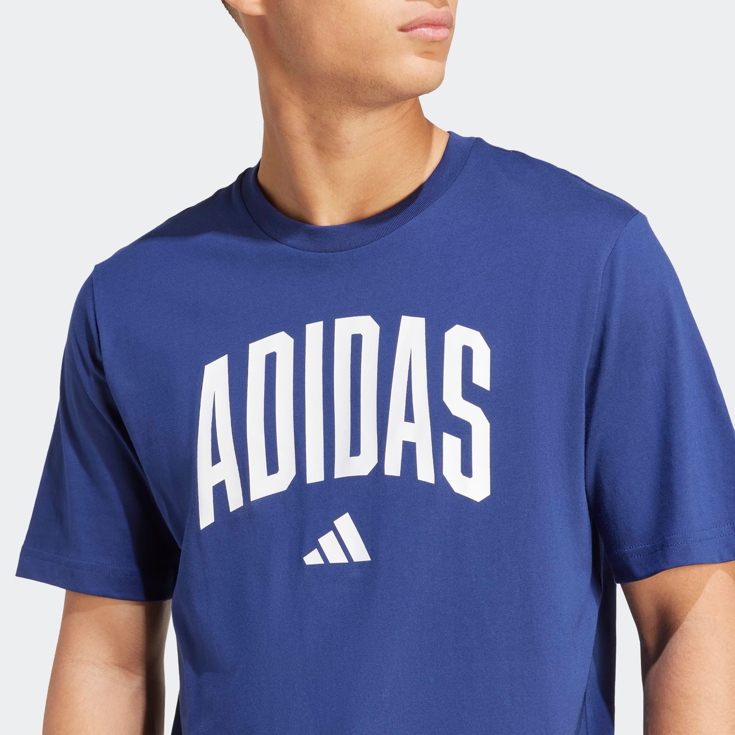 adidas Sportswear T-Shirt COLLEGIATE LINEAGE GRAPHIC sportlicher Schnitt, kurze Ärmel, aus Baumwolljersey