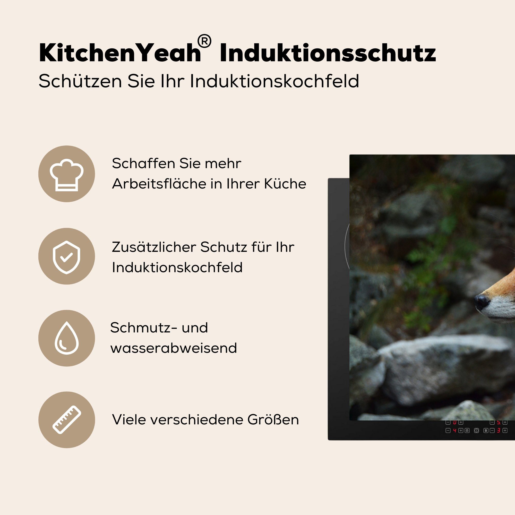 für die küche, Fuchs MuchoWow 81x52 Vinyl, Herdblende-/Abdeckplatte - - cm, Ceranfeldabdeckung Induktionskochfeld Schutz Steine, Orange (1 tlg),