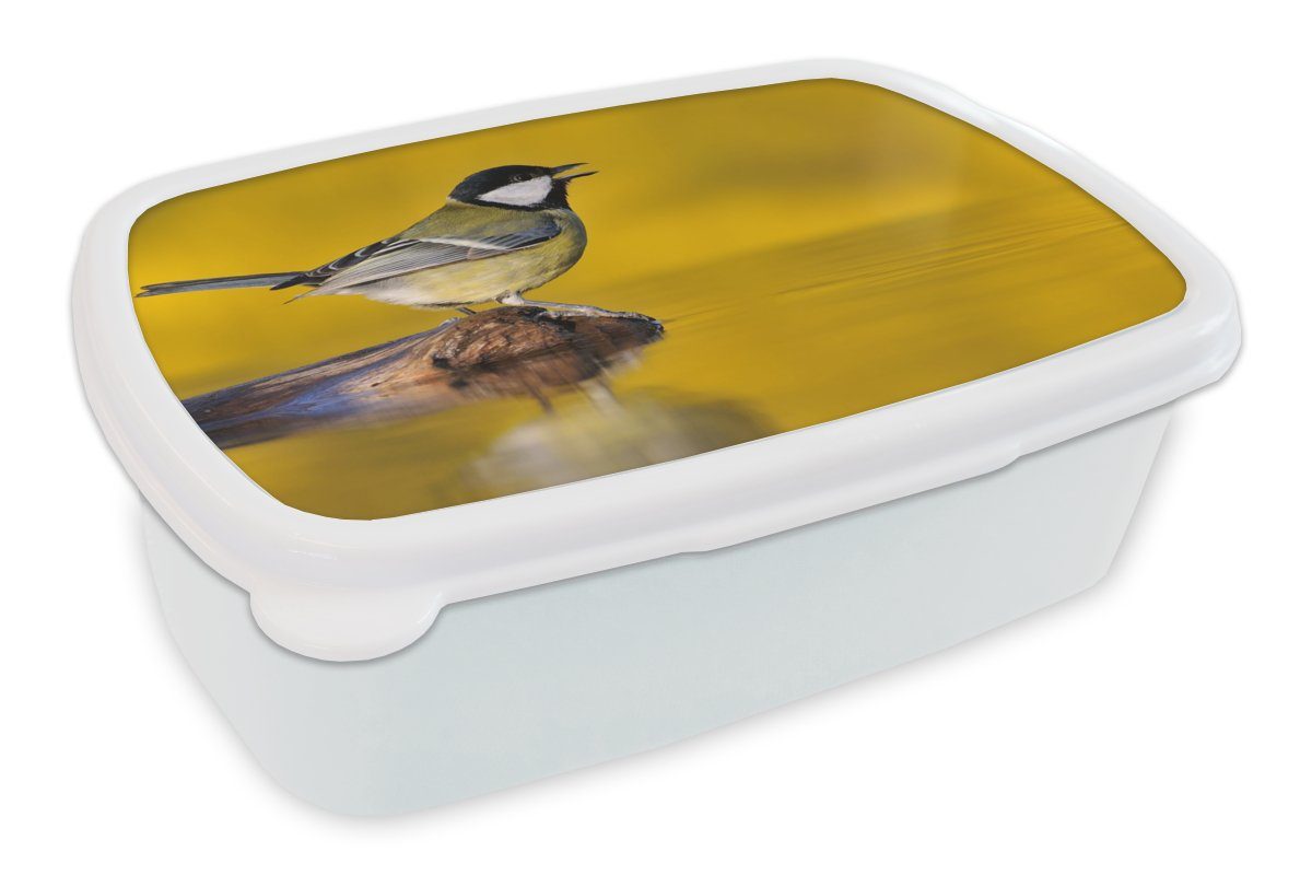 Jungs und - Erwachsene, und - Lunchbox Brotbox weiß für Brotdose, (2-tlg), Kohlmeise Kunststoff, Kinder Vogel für MuchoWow Wasser, Mädchen