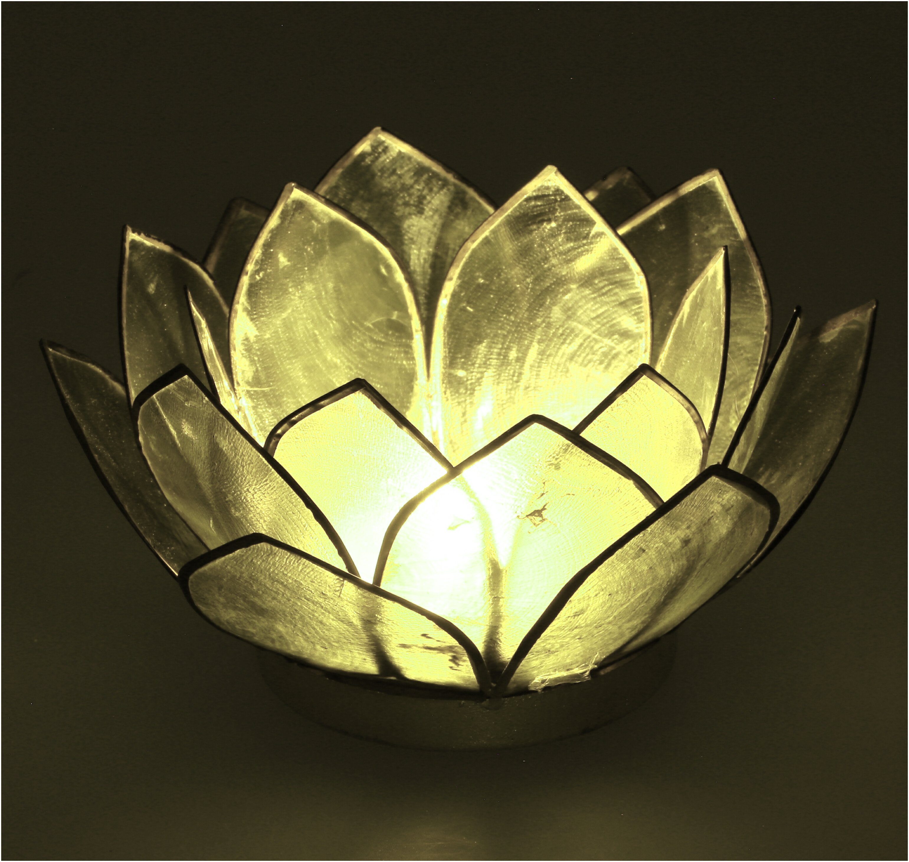 Guru-Shop Windlicht Lotus - Muschel 14*6 olivgrün cm Teelicht