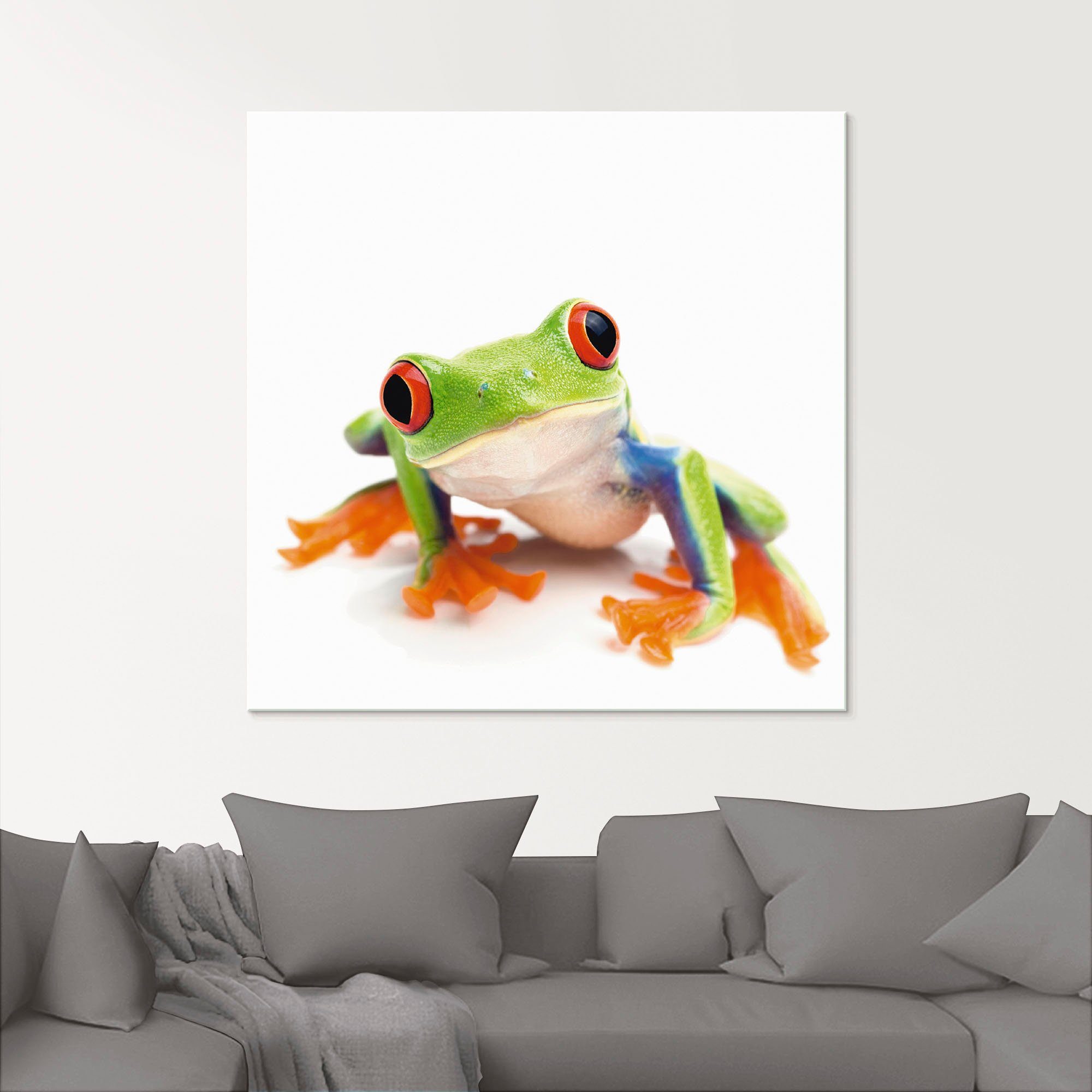 Artland Glasbild Großaufnahme eines Frosches vor weiß, Wassertiere (1 St), in verschiedenen Größen