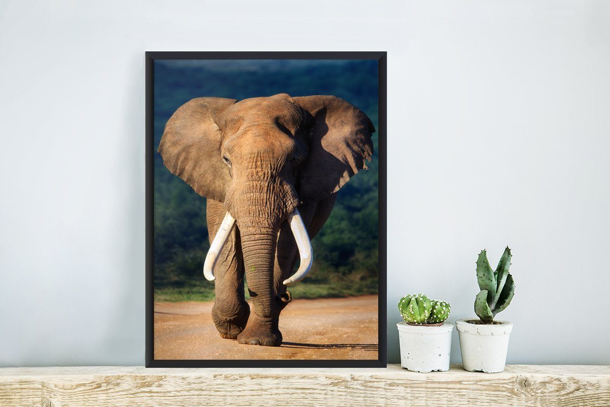 MuchoWow Poster Elefant - Zähne Bilderrahmen Bilder, Gerahmtes - Schwarzem Poster, Wanddeko, Wandposter, (1 Natur, St)