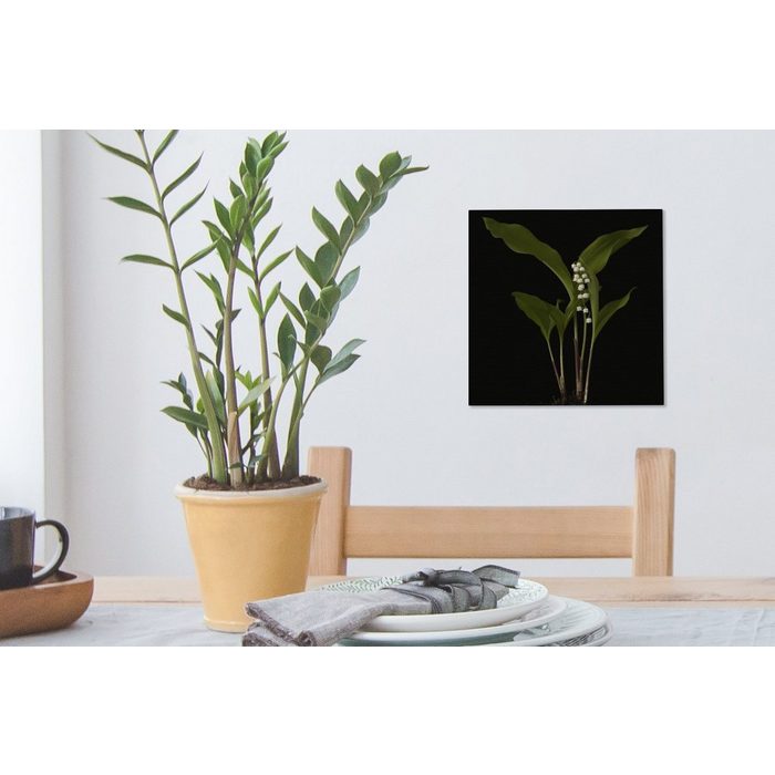 MuchoWow Leinwandbild Ein Maiglöckchen mit Blättern auf schwarzem (1 St) Leinwand Bilder Wandbilder Wohnzimmer Dekoration
