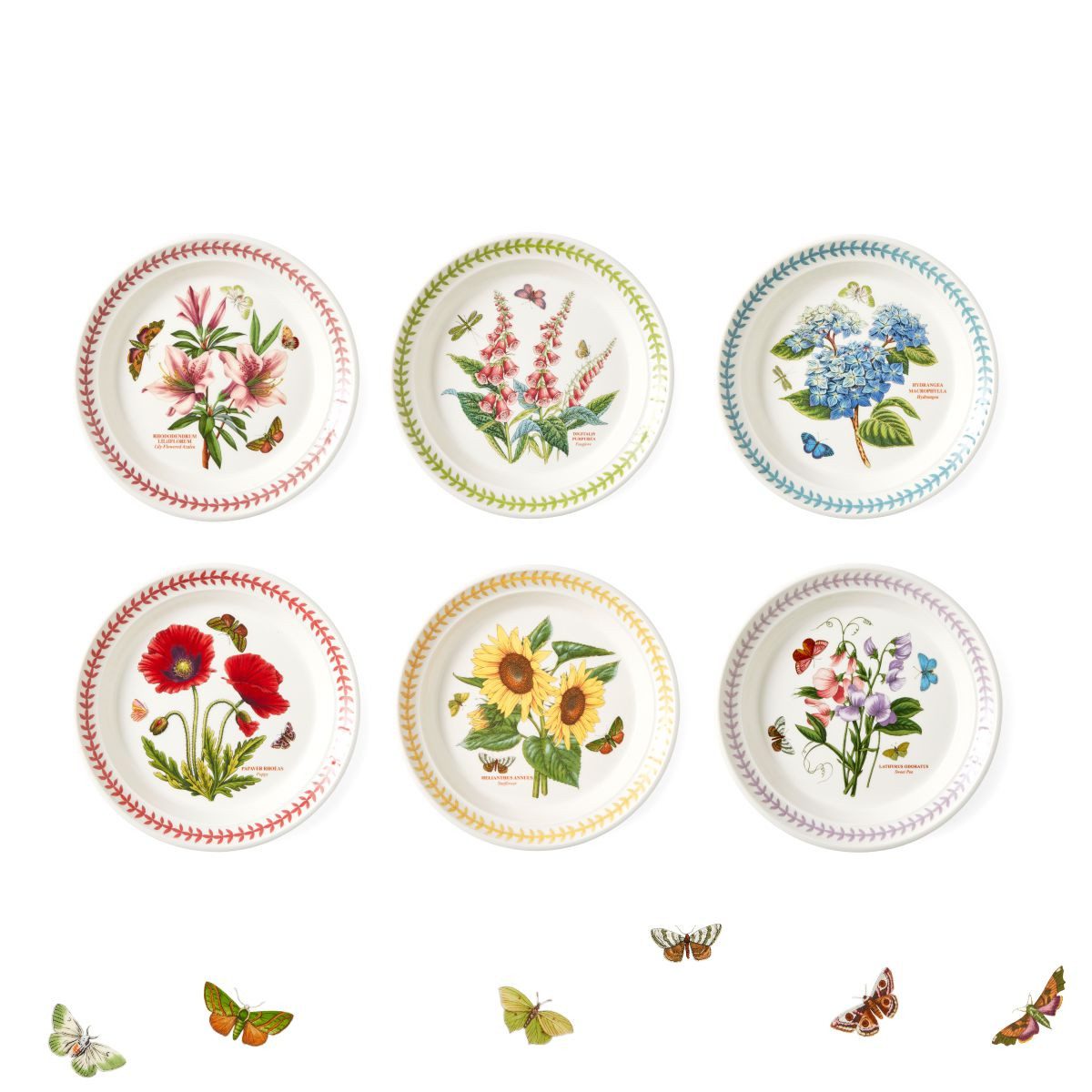 Portmeirion Frühstücksteller Portmeirion Keramik Frühstücksteller Botanic Garden Meadow Sonnenblume