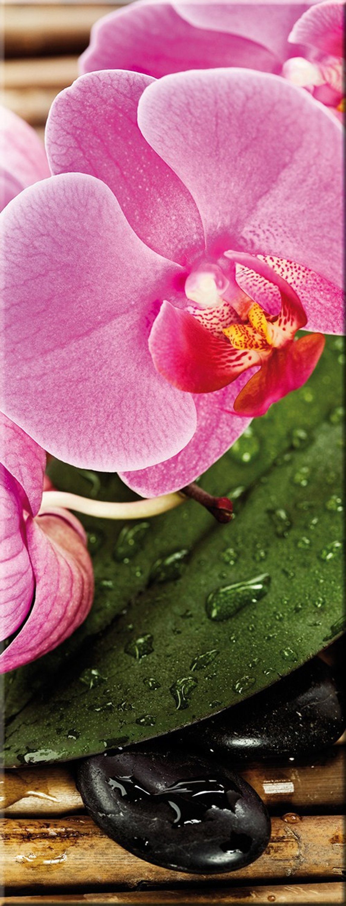 artissimo Glasbild Glasbild 30x80cm Bild aus Glas Wellness Zen-Steine Spa Orchidee, Blumen und Blüten: Zen Hochformat II