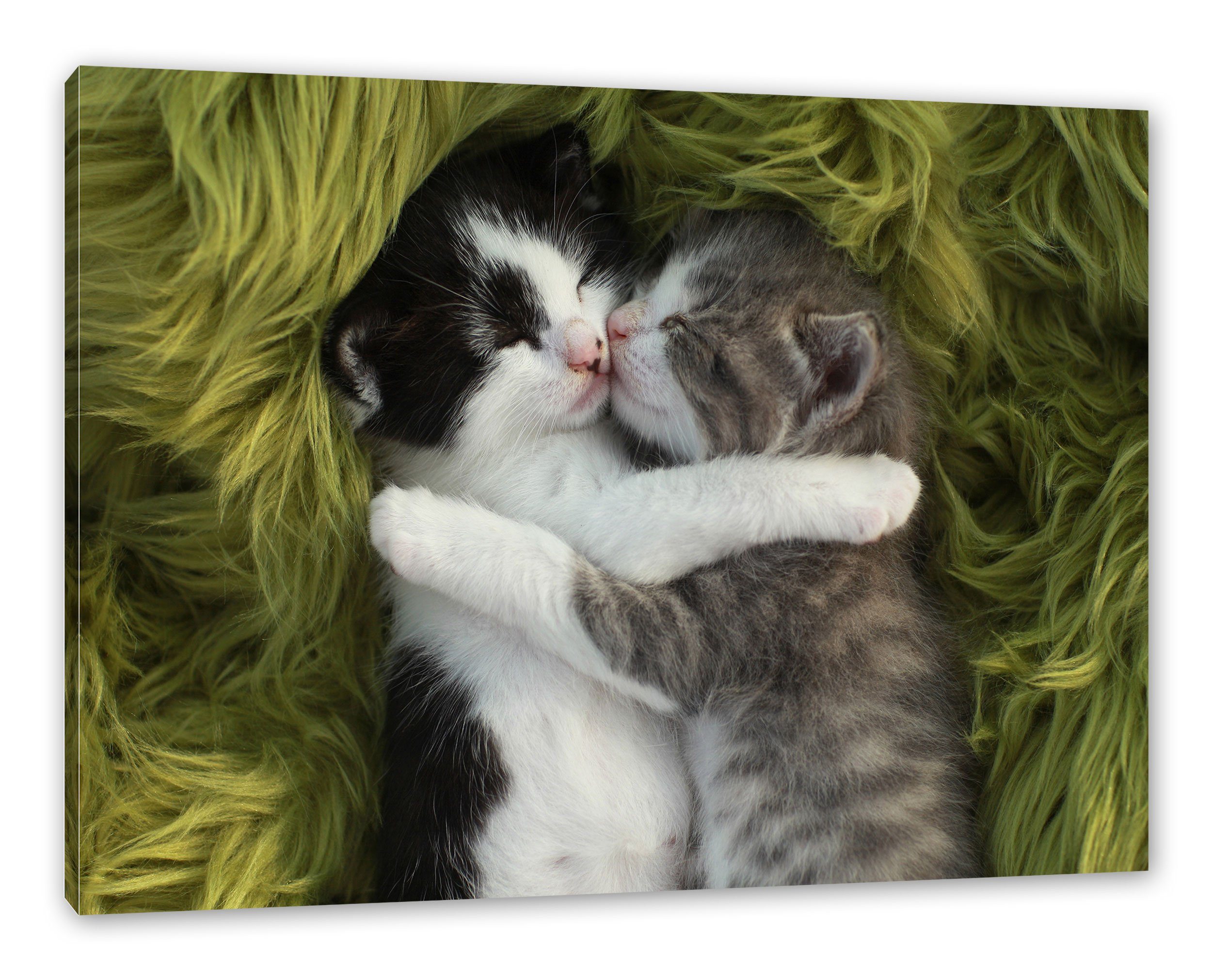 Pixxprint Leinwandbild Zwei kuschelnde Kätzchen, Zwei kuschelnde Kätzchen (1 St), Leinwandbild fertig bespannt, inkl. Zackenaufhänger