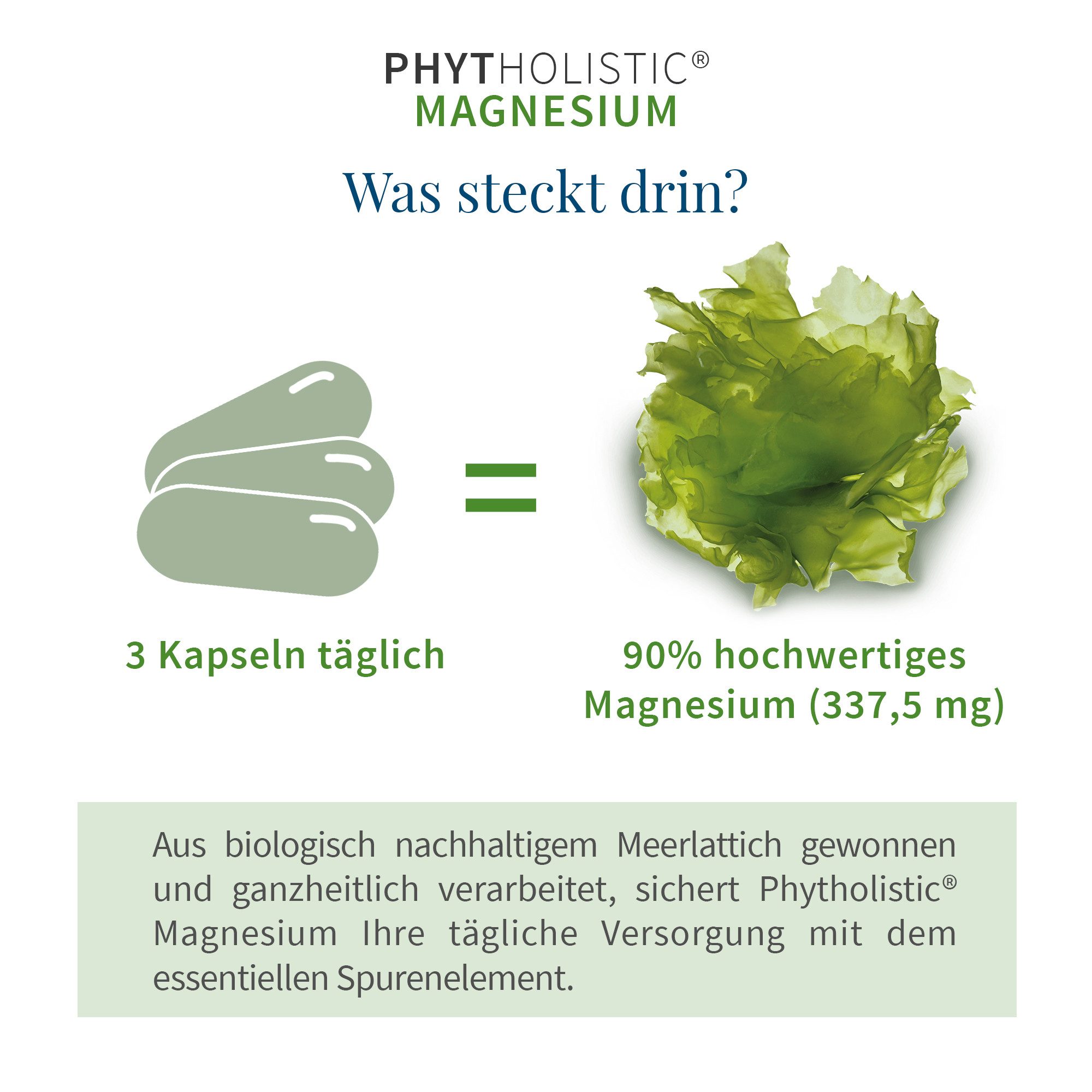 Cellavent Healthcare Bio Magnesium Tabletten - Phytholistic Magnesium Kapseln