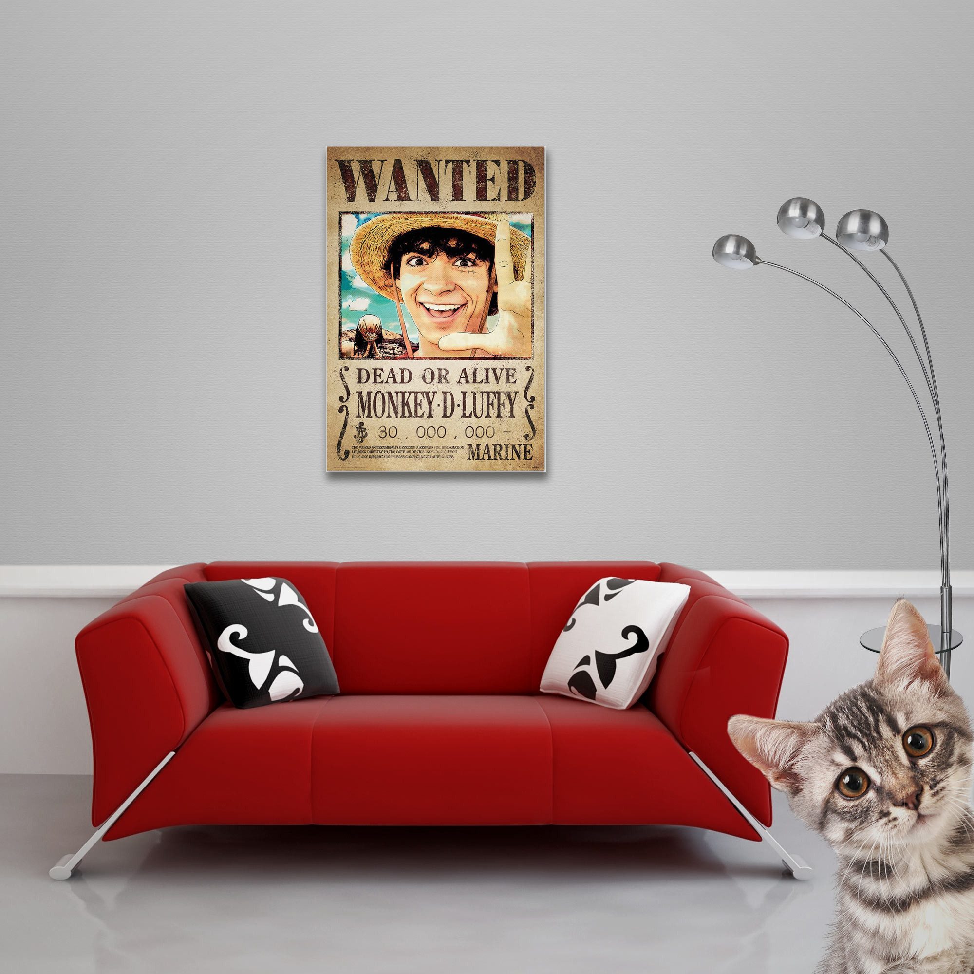 Poster One Piece - Poster - Wanted Money D. Luffy