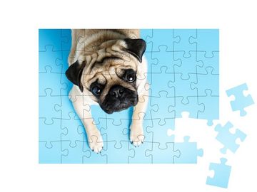 puzzleYOU Puzzle Beigefarbener Mops mit treuherzigem Blick, 48 Puzzleteile, puzzleYOU-Kollektionen Mops