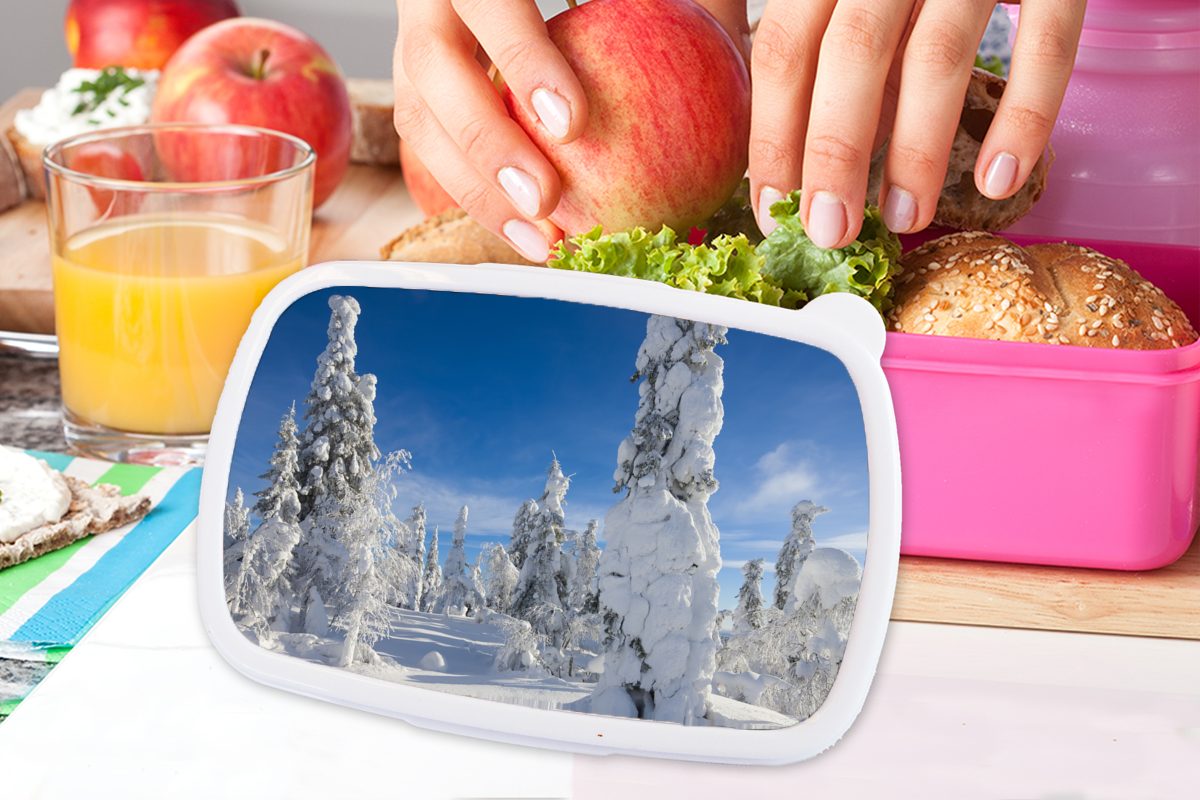 MuchoWow Lunchbox blauer Himmel rosa Lappland, Ein Kunststoff, (2-tlg), für Brotbox Snackbox, in Kinder, Kunststoff über Mädchen, Winterlandschaft Brotdose der Erwachsene