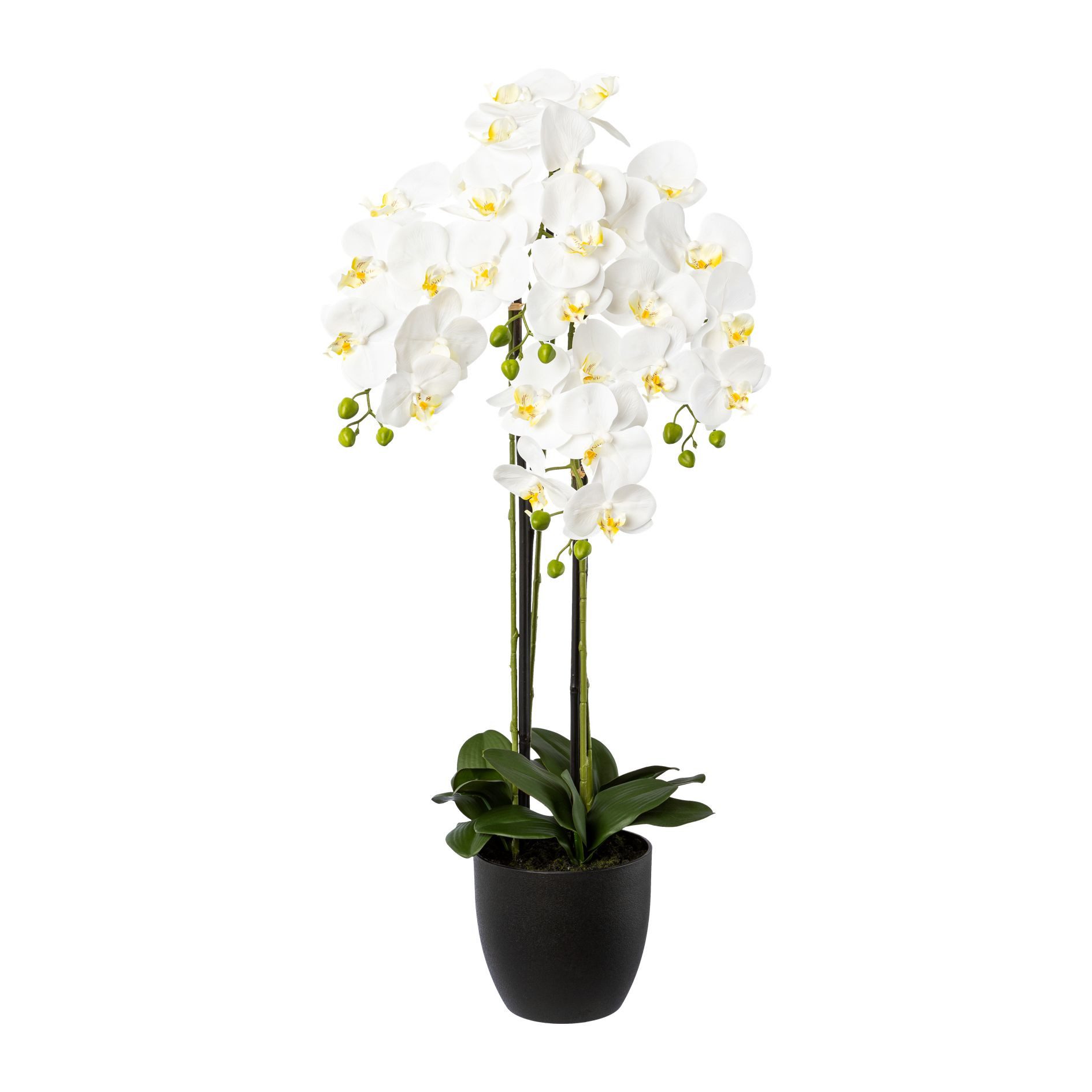 Kunstpflanze Phalaenopsis im Resintopf, 99 cm, günstig online kaufen