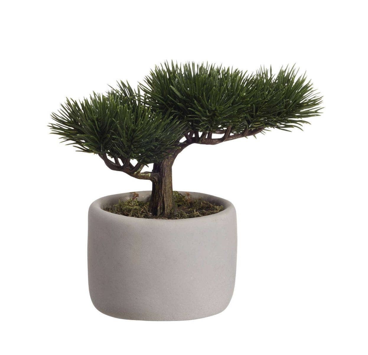 Kunstpflanze Bonsai Mini Kiefer 24,5 x 17,5 x 24,5 cm, ASA SELECTION