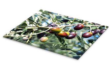 Posterlounge Acrylglasbild Editors Choice, Olivenbaum im Sonnenlicht, Küche Mediterran Fotografie