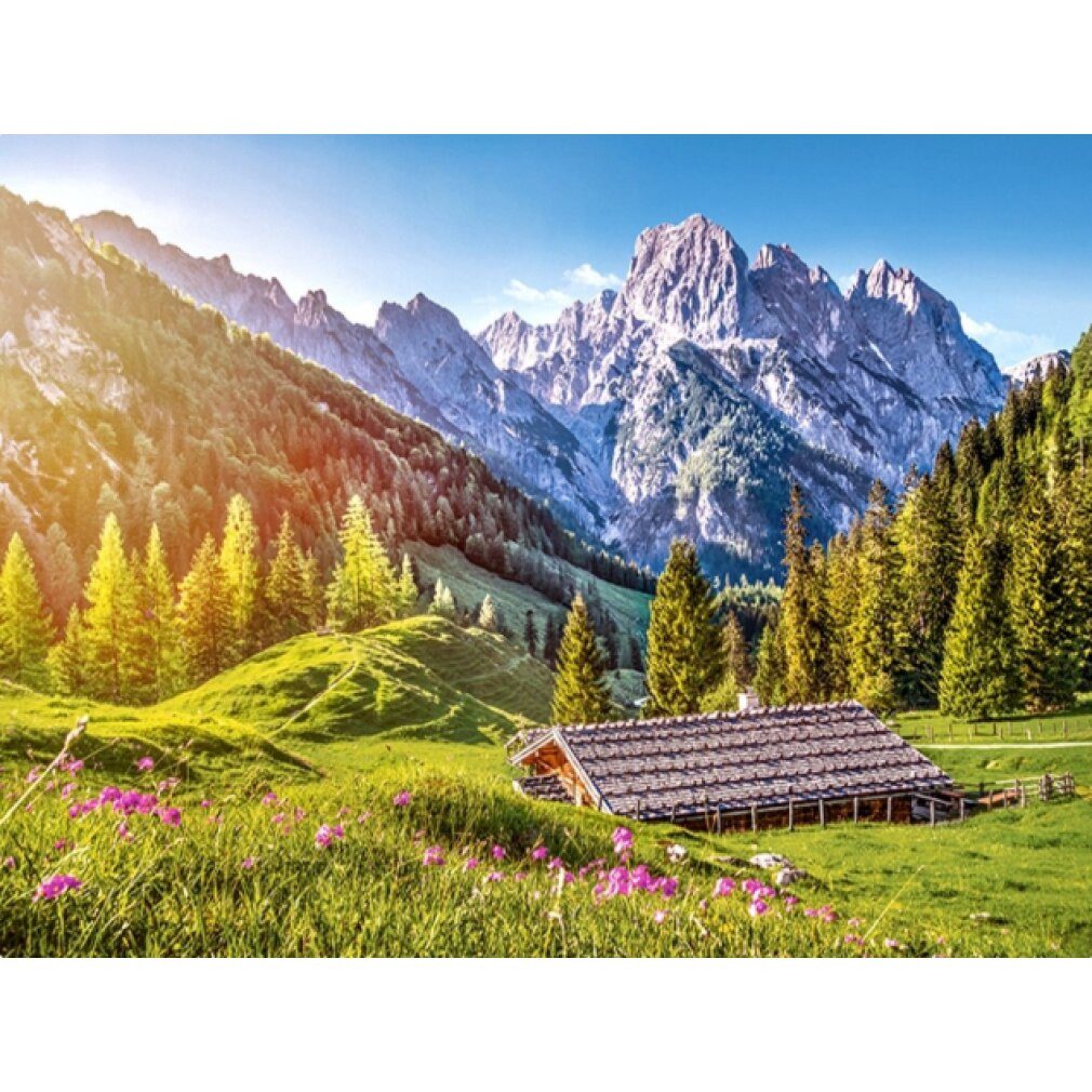 Castorland Puzzle Puzzle Sommer in den günstig online kaufen