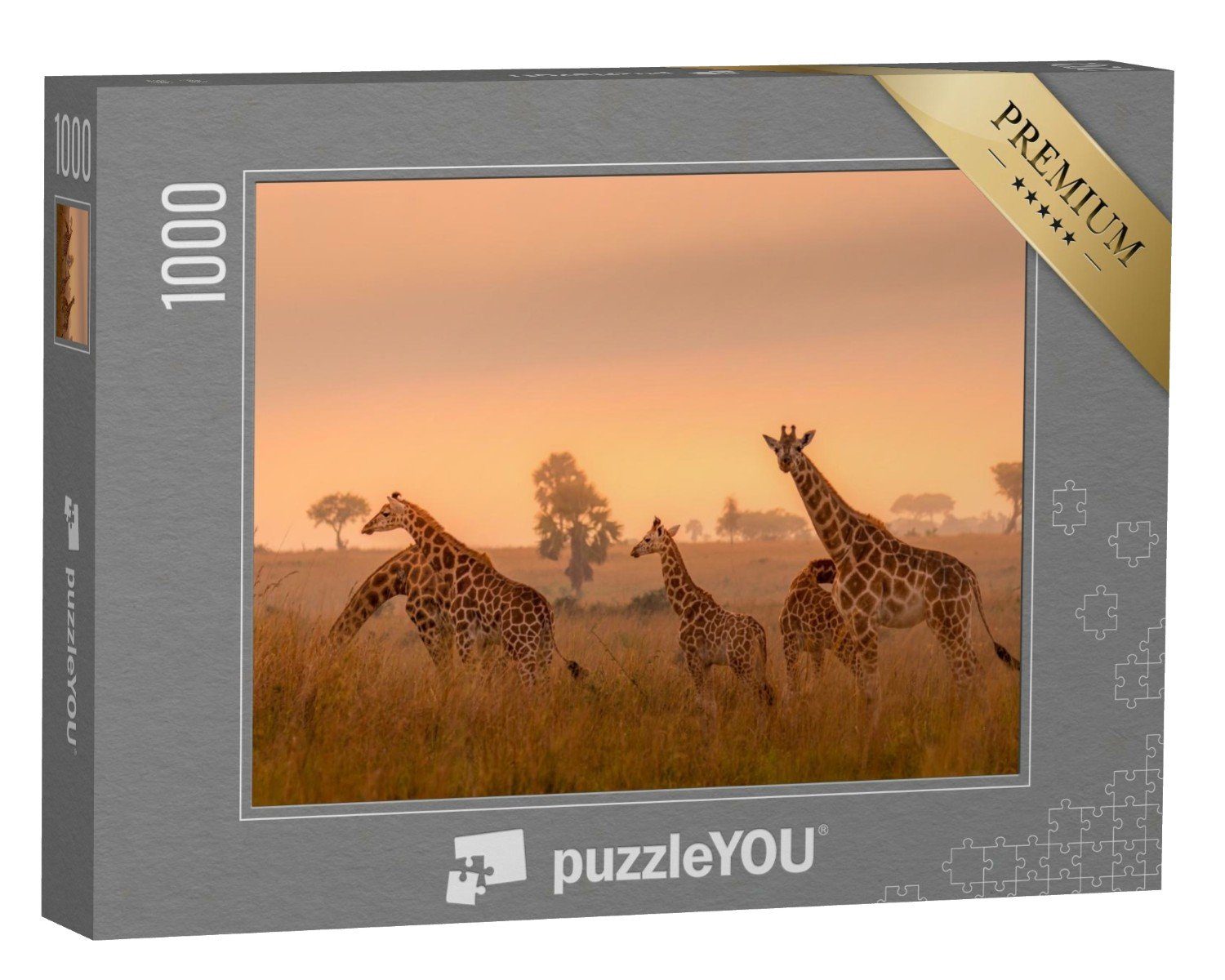 puzzleYOU Puzzle Rothschild-Giraffen im Sonnenaufgang, Uganda, 1000 Puzzleteile, puzzleYOU-Kollektionen Safari, Giraffen, Tiere in Savanne & Wüste