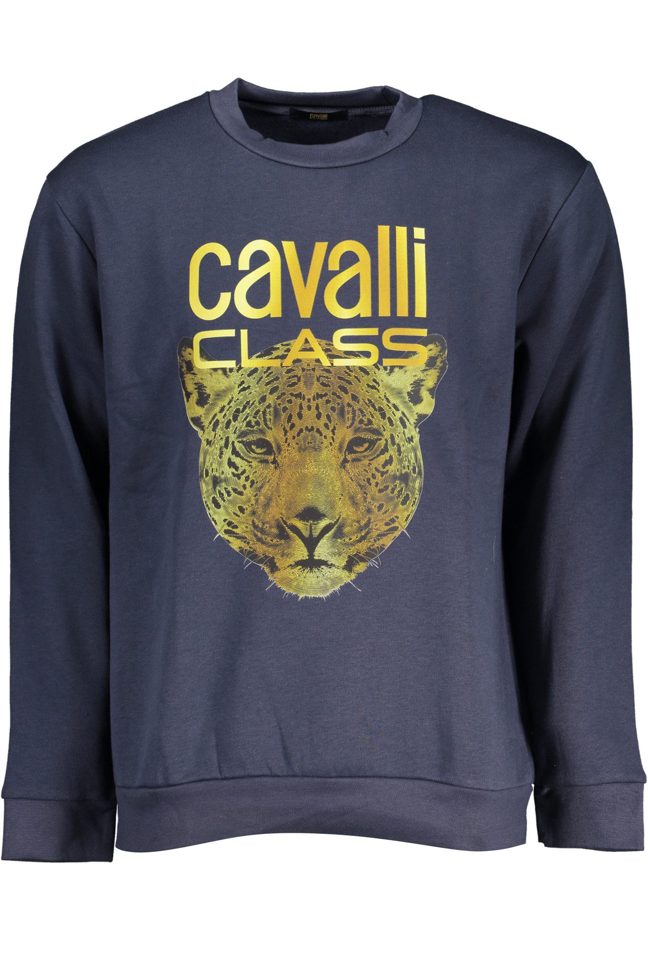 Cavalli Class Sweatshirt Herren Sweatshirt Blau: Gefüttert, Rundhals