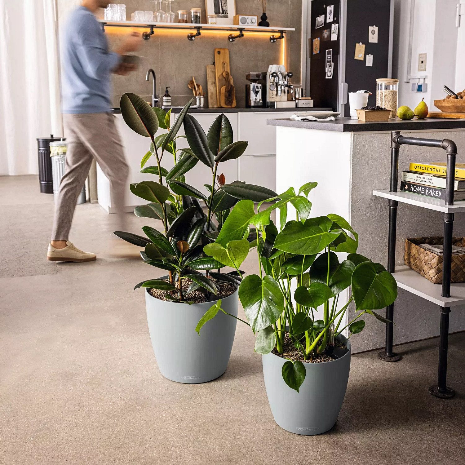 Lechuza® Pflanzkübel Classico Color 50, dunkelgrau