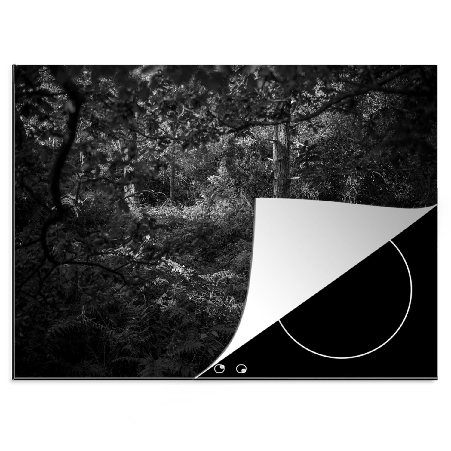 MuchoWow Herdblende-/Abdeckplatte Hirsch im Wald im Herbst - schwarz und weiß, Vinyl, (1 tlg), 70x52 cm, Mobile Arbeitsfläche nutzbar, Ceranfeldabdeckung