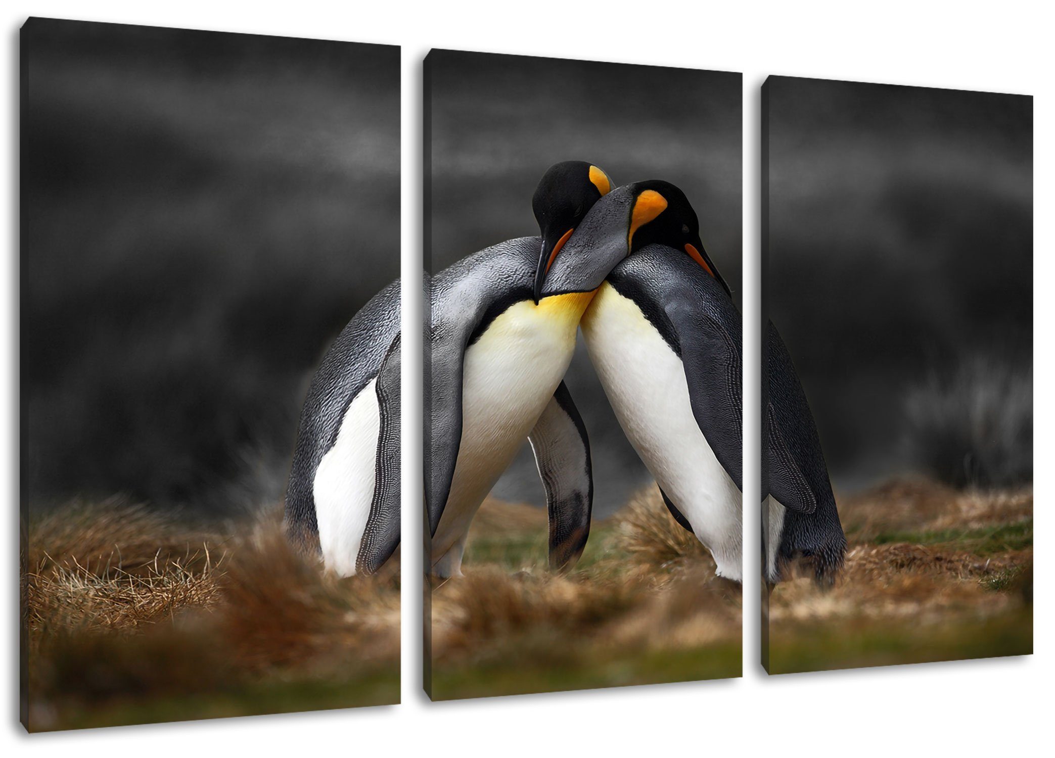 Pixxprint Leinwandbild Pinguine in der Antarktis, Pinguine in der Antarktis 3Teiler (120x80cm) (1 St), Leinwandbild fertig bespannt, inkl. Zackenaufhänger