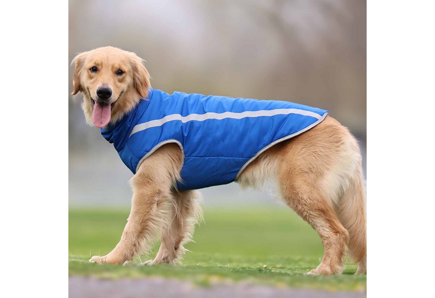 Thumbnail - Monkimau Tierjacke Hundejacke - 4XL in blau